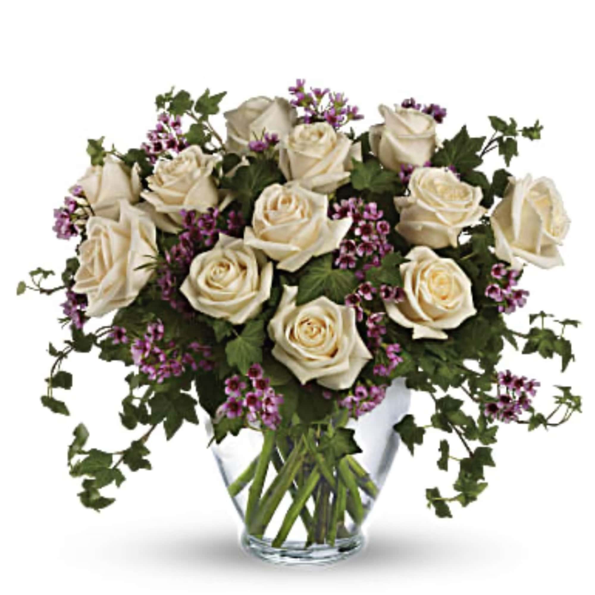 Cream roses with purple filler in a clear glass vase