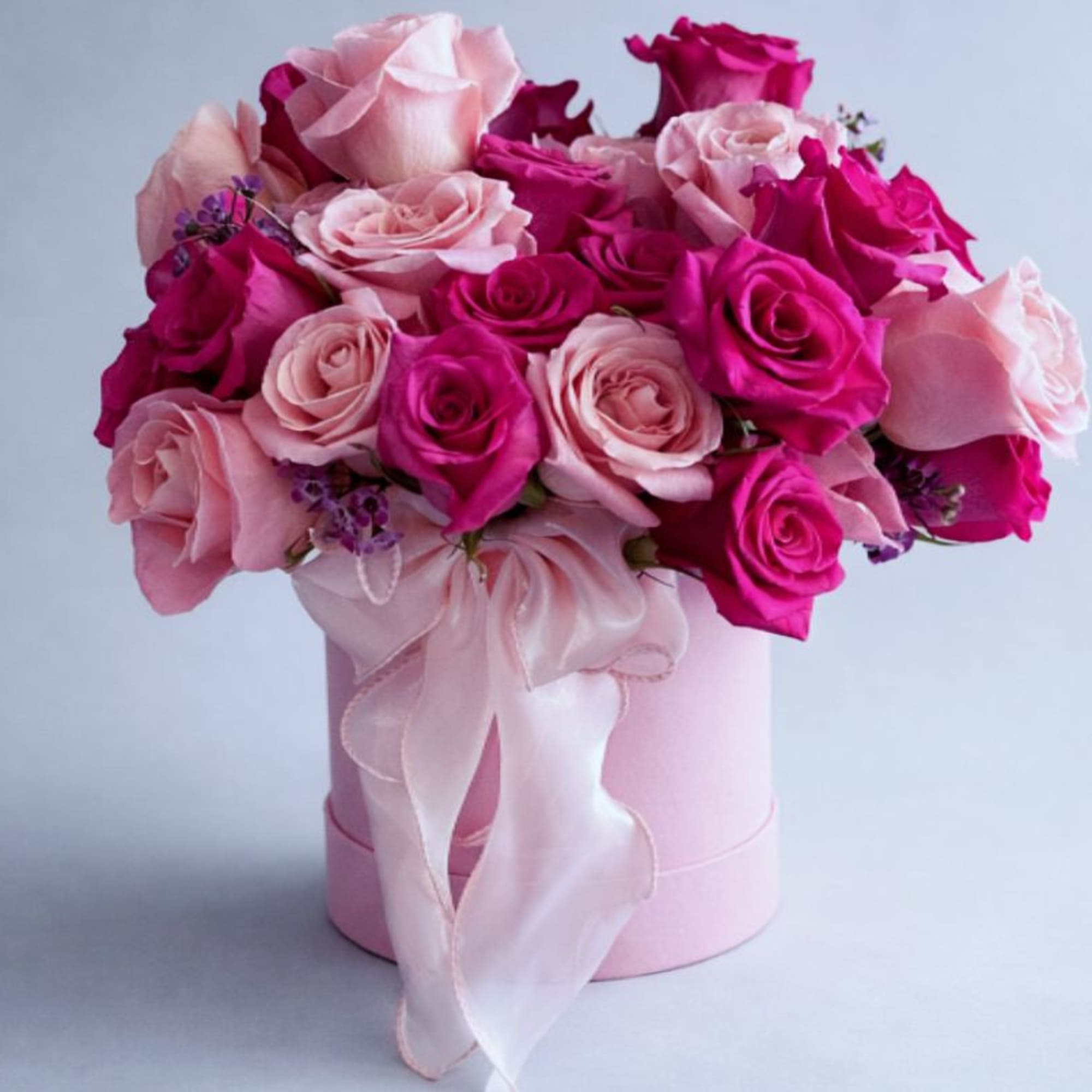 Pink and magenta roses arranged in a round hatbox with a ribbon bow