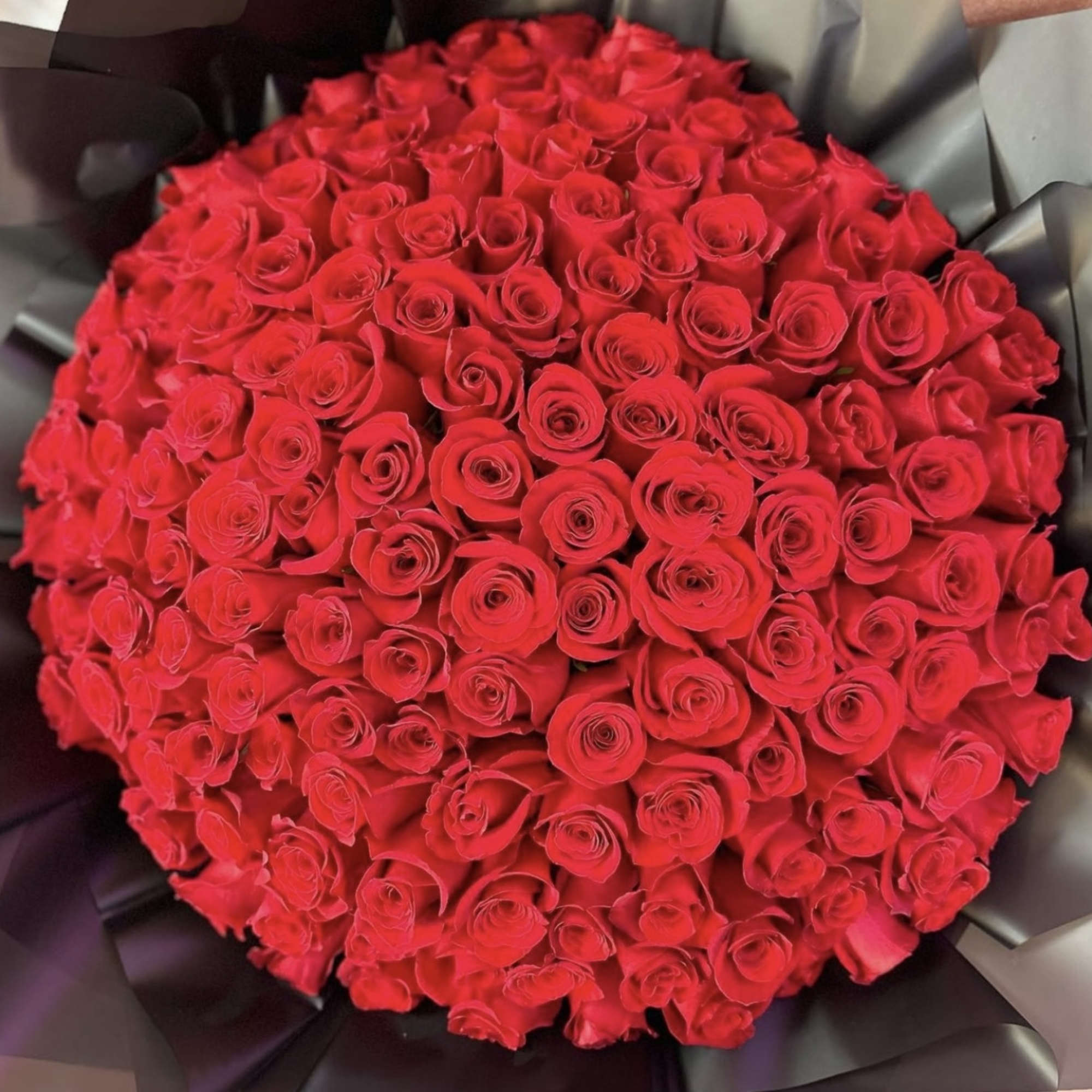 Large bouquet of red roses wrapped in dark paper