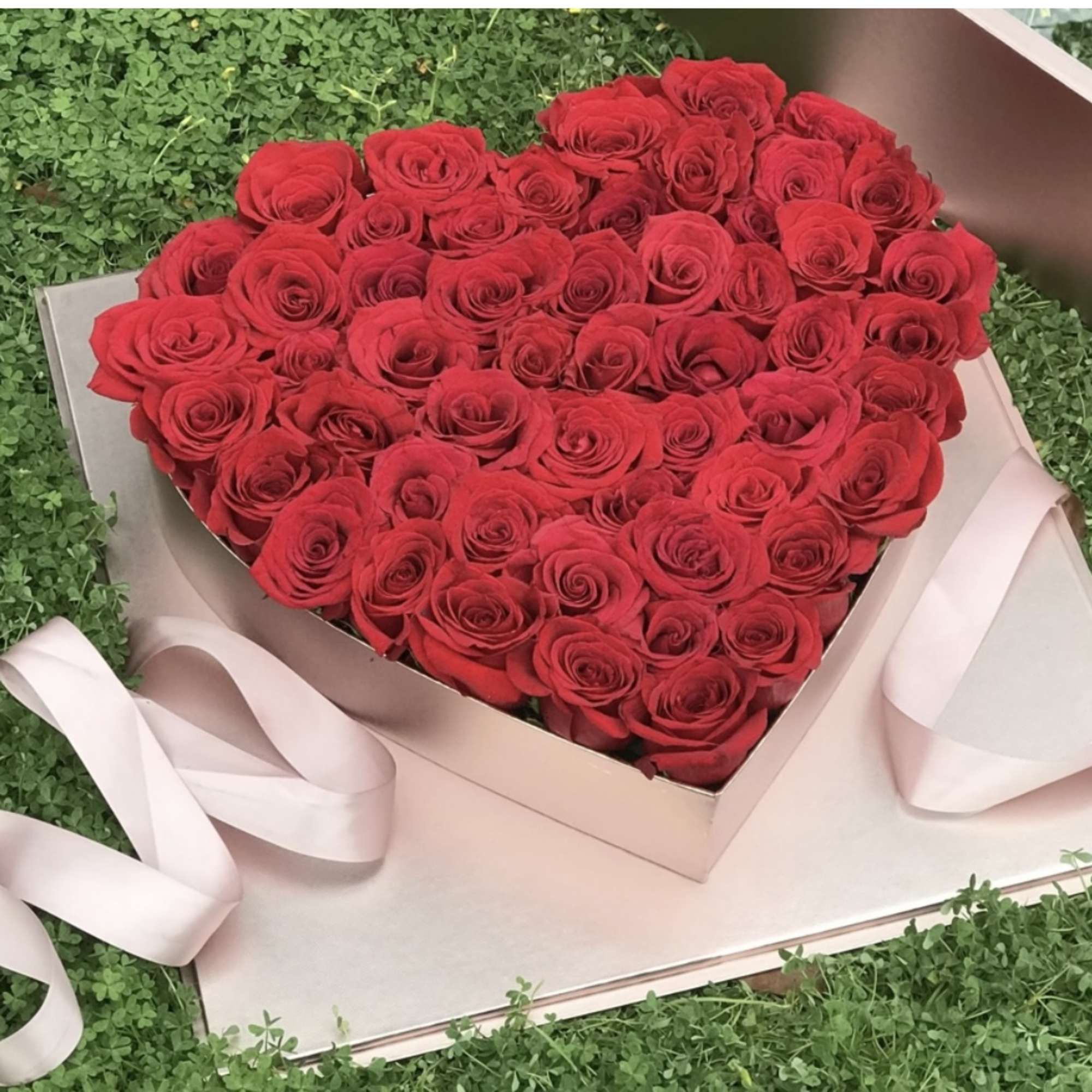Heart-shaped box filled with red roses and pale pink ribbon