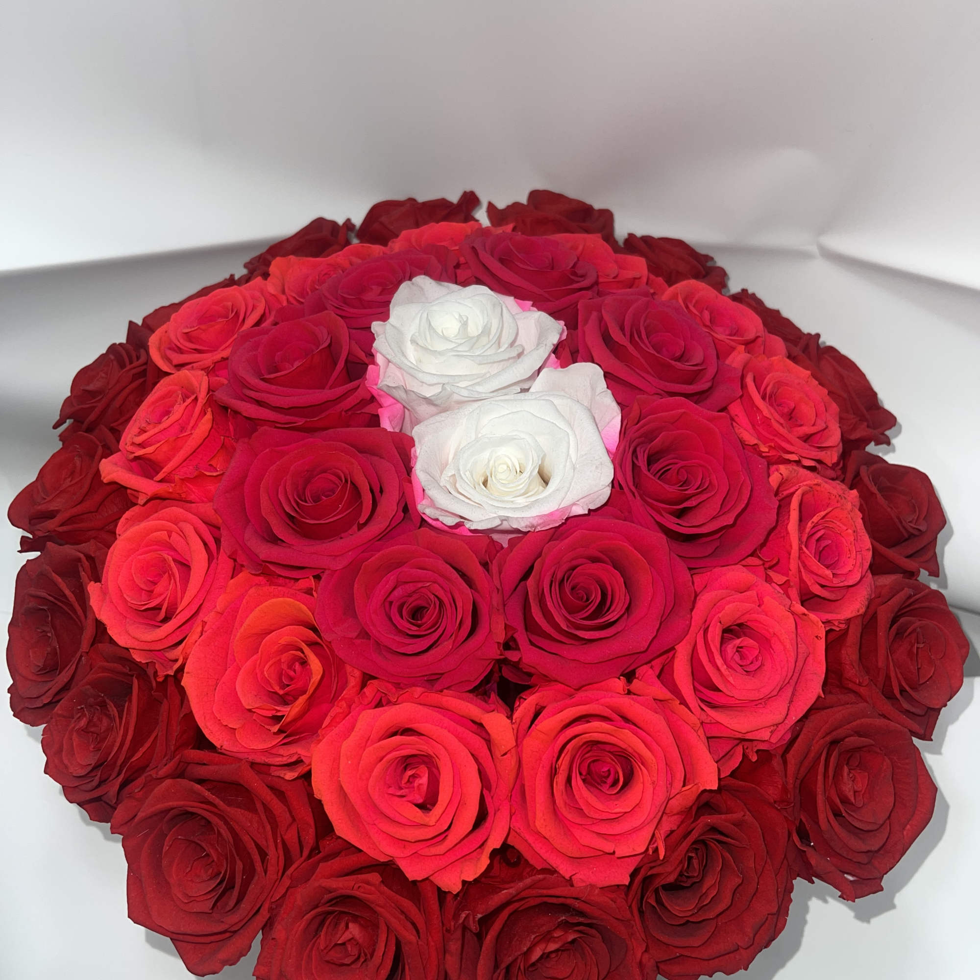 Round bouquet of red and white roses in a white box