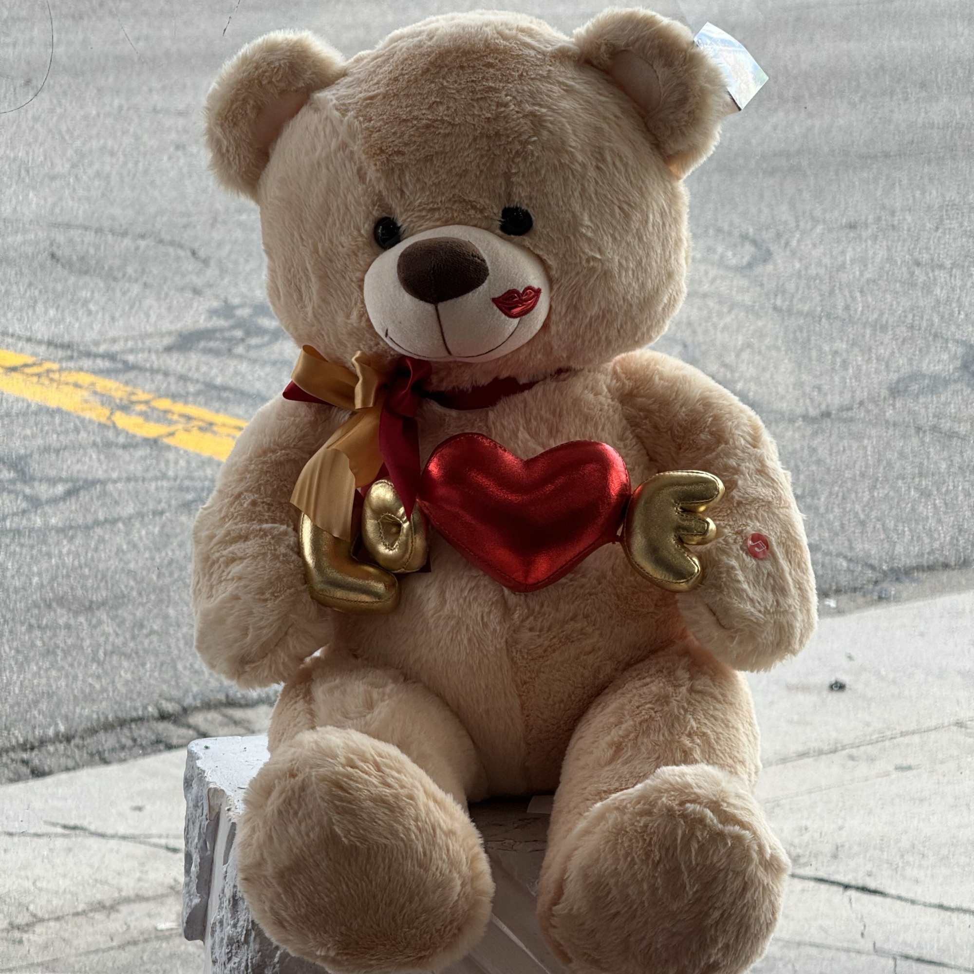Plush teddy bear holding a red heart with the word Love