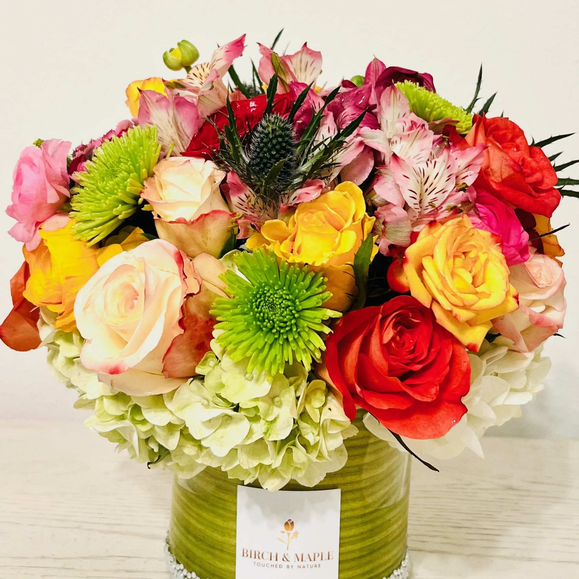 Breathtaking blooms of jubilant hues! Dive into a world of joy with