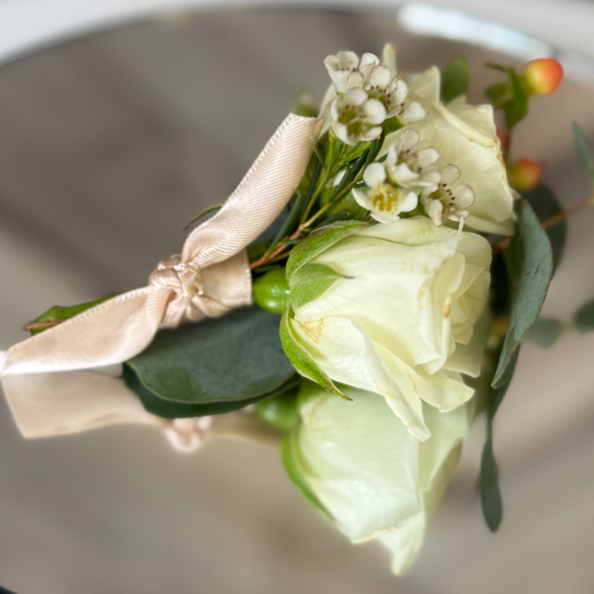 Small white rose boutonniere with ribbon tie