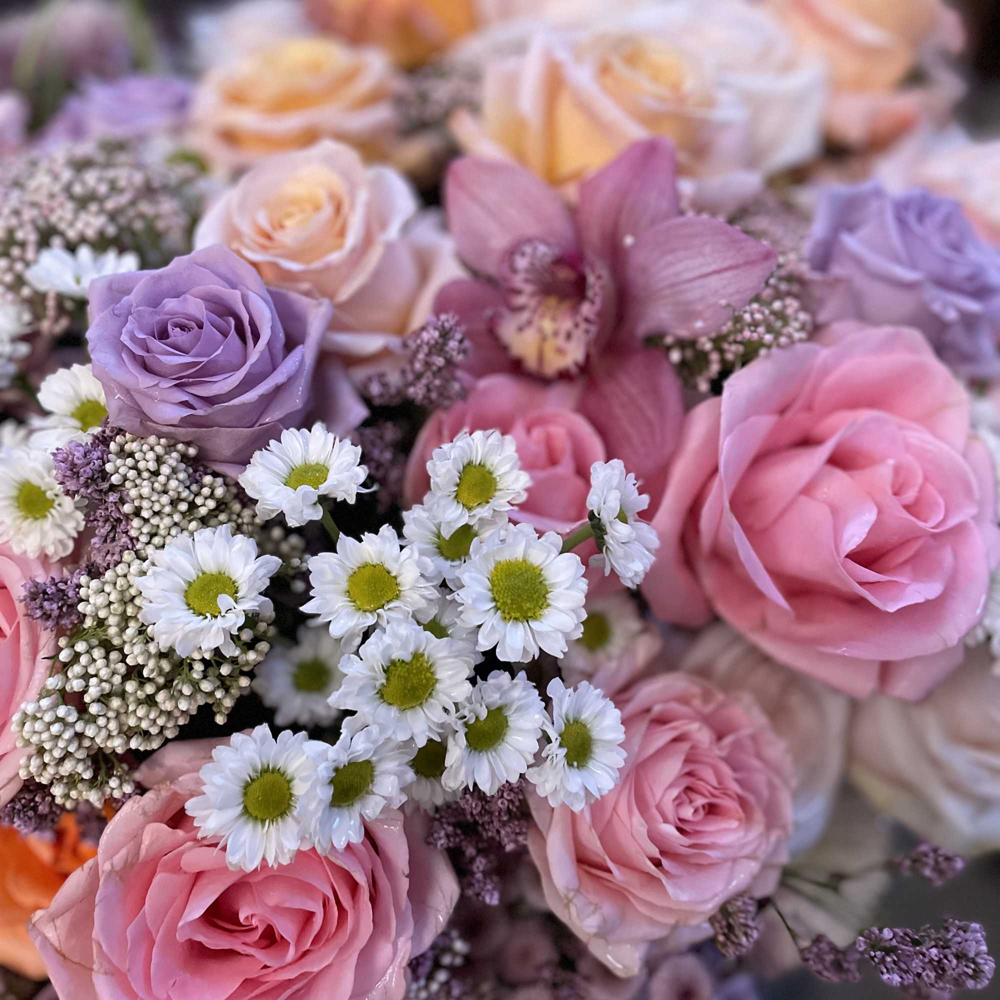 Bouquet of pink and lavender roses with small white daisies