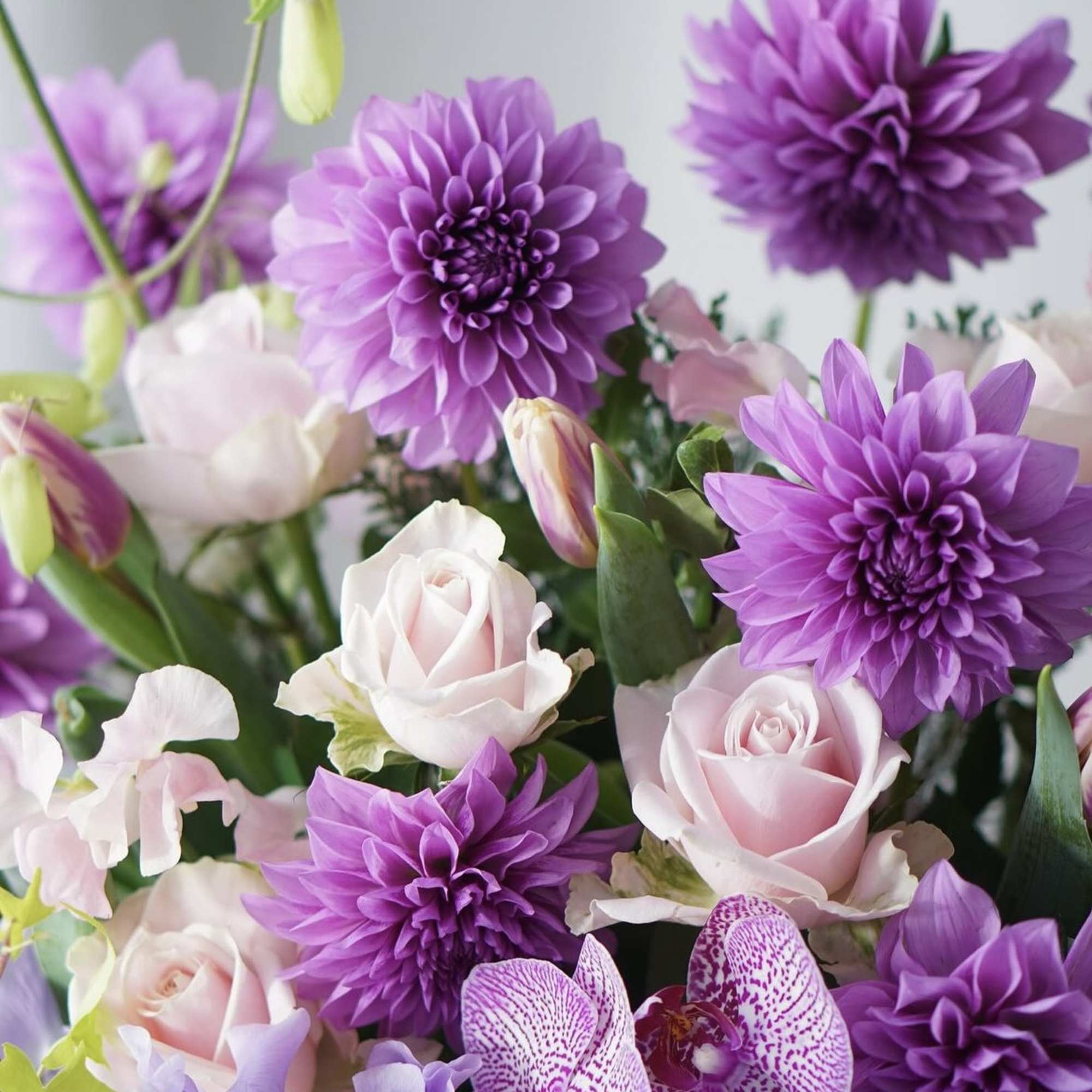 Bouquet of purple dahlias, pale pink roses, and spotted orchids