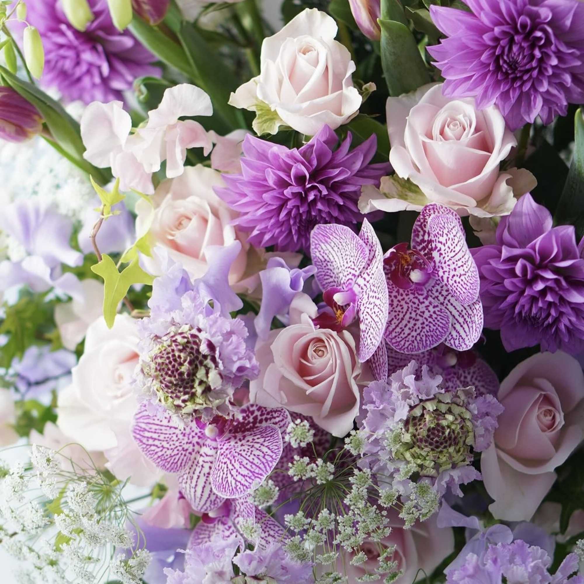 Bouquet of pale pink roses and purple blooms with spotted orchids