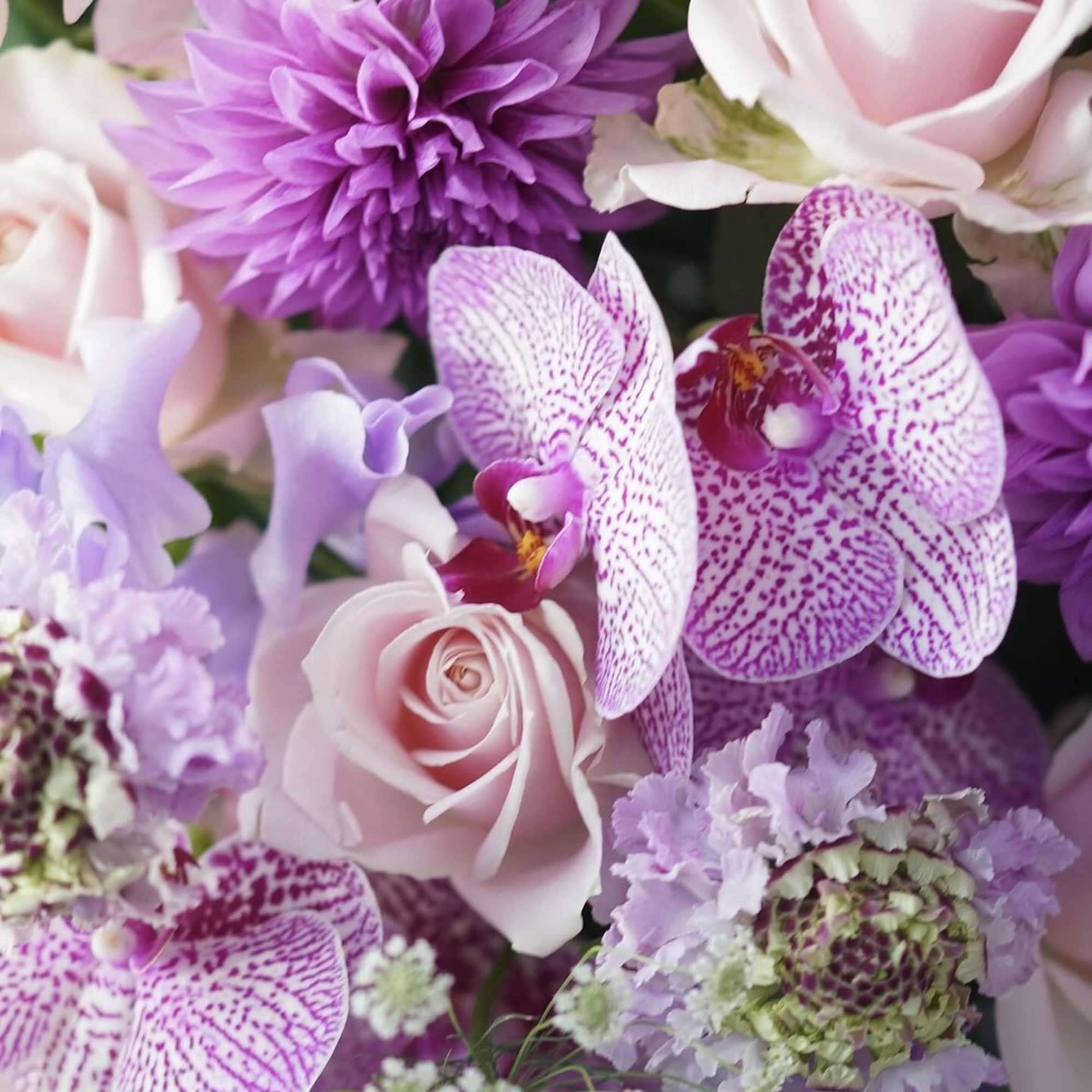 Pink roses and purple orchids in a mixed bouquet