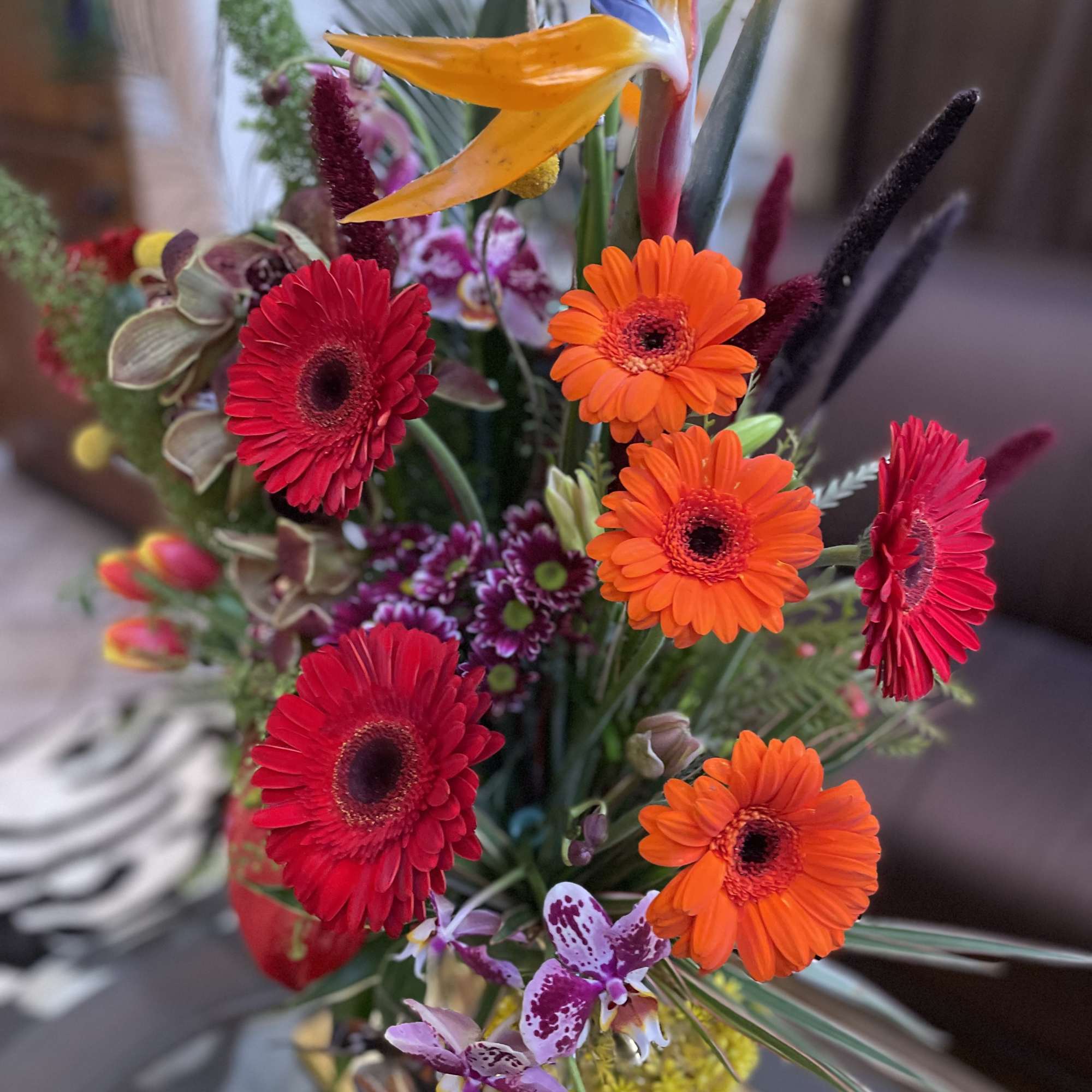 Tall tropical bouquet with orange bird of paradise and red gerbera daisies