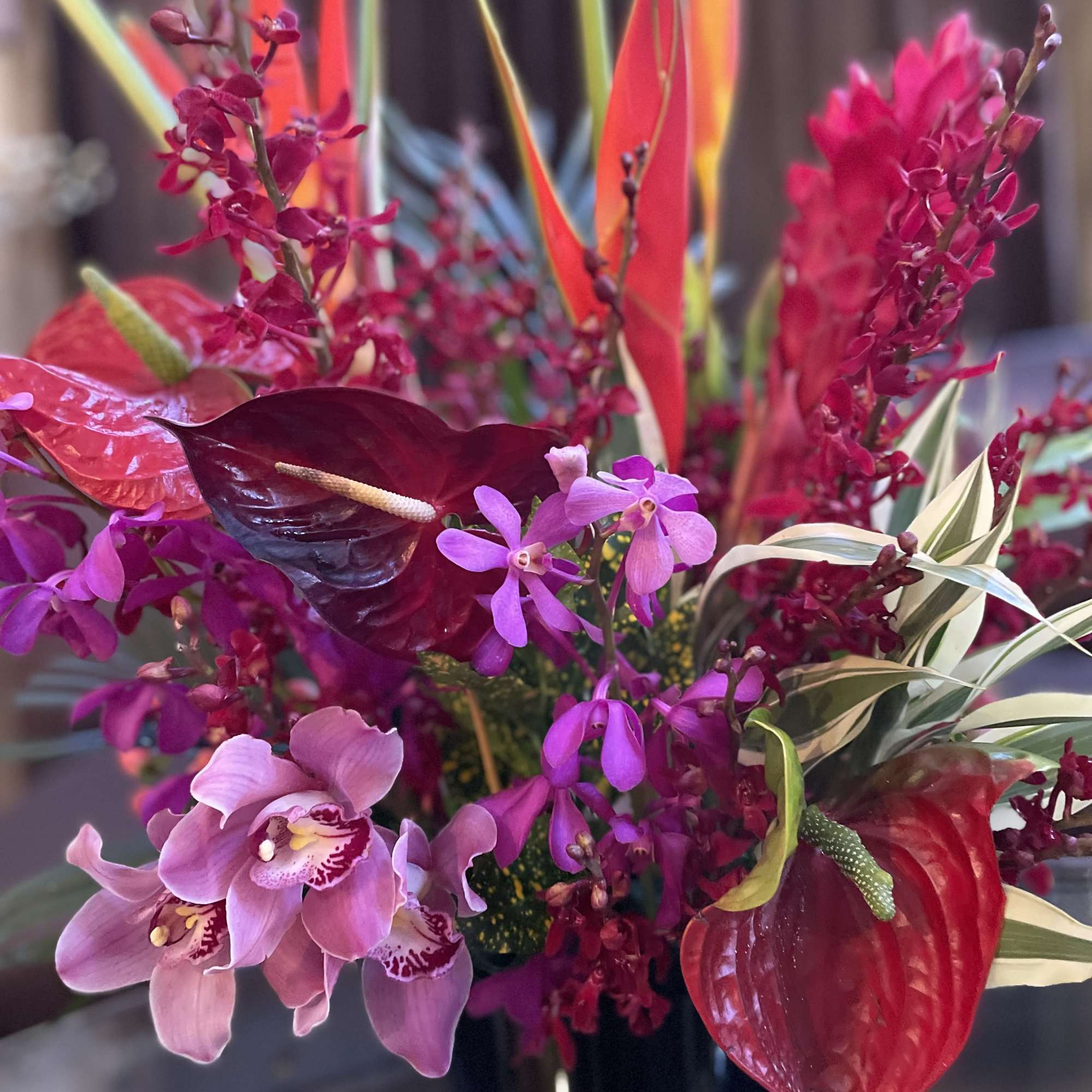 Tropical bouquet with pink orchids and red anthuriums in a black vase