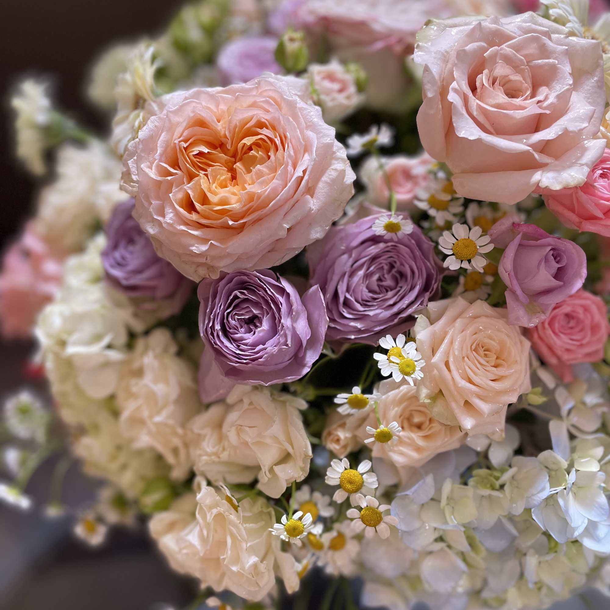 Bouquet of blush and lavender roses with small white daisies