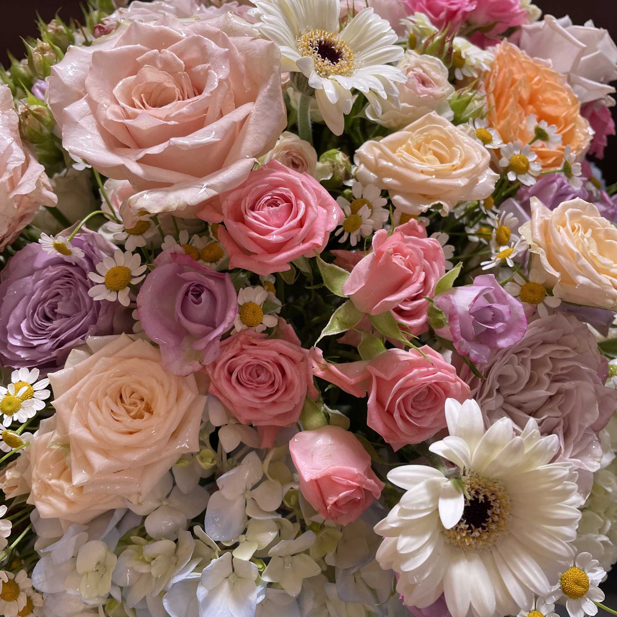 Bouquet of pink and cream roses with white daisies and hydrangeas