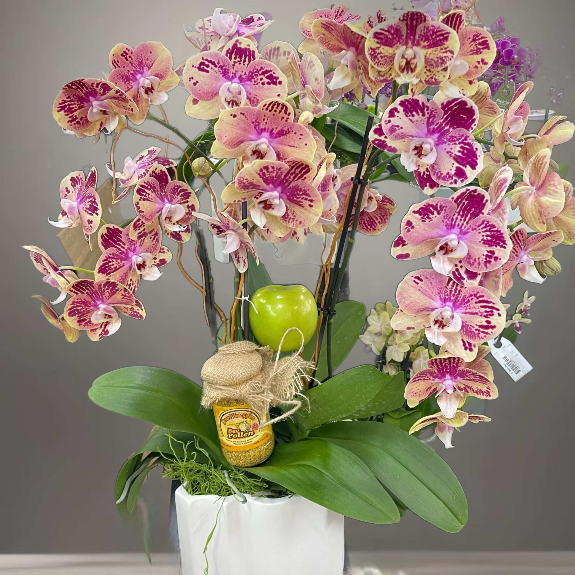 Pink and yellow orchids arranged in a white pot with a small honey jar.