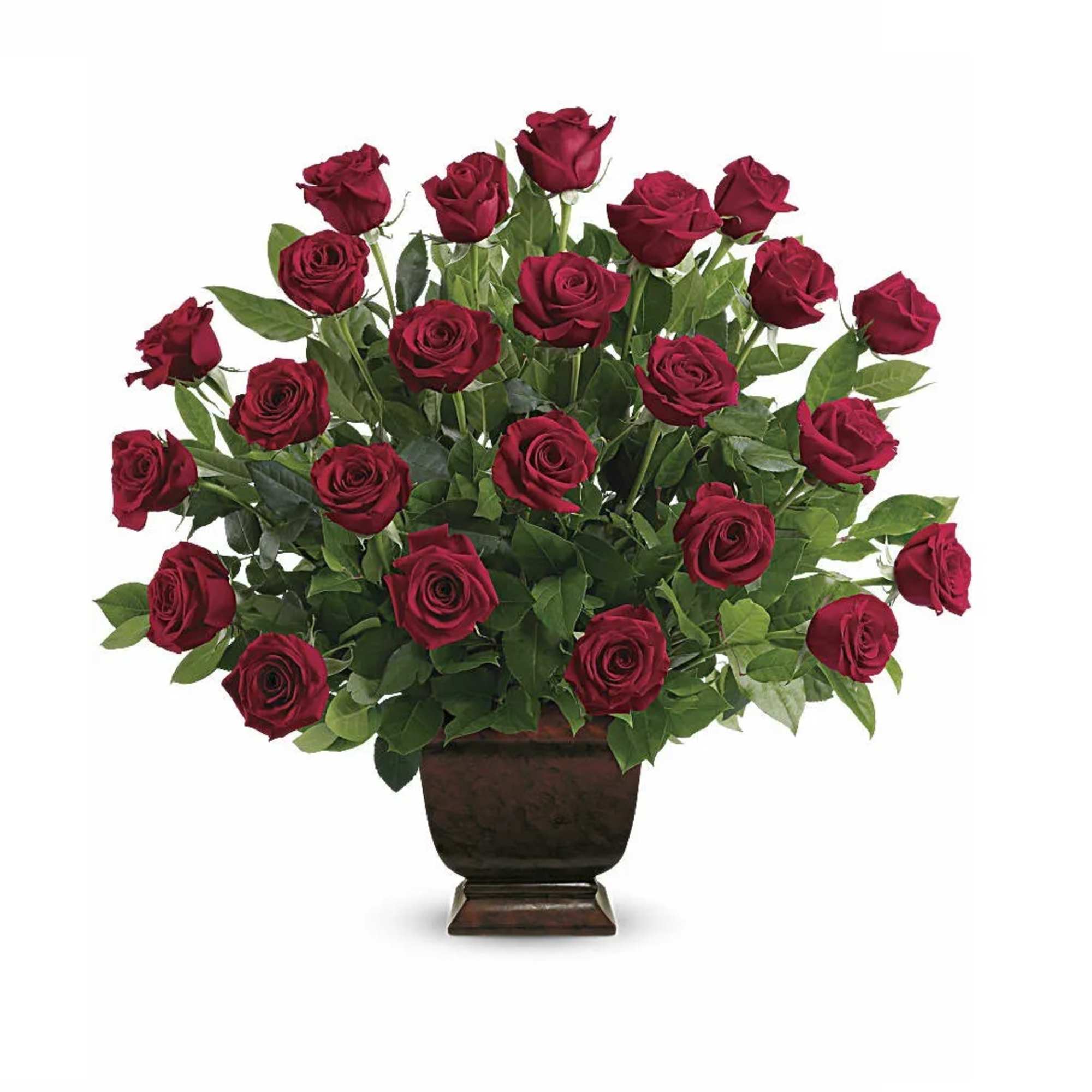 Red roses arranged in a dark pedestal vase