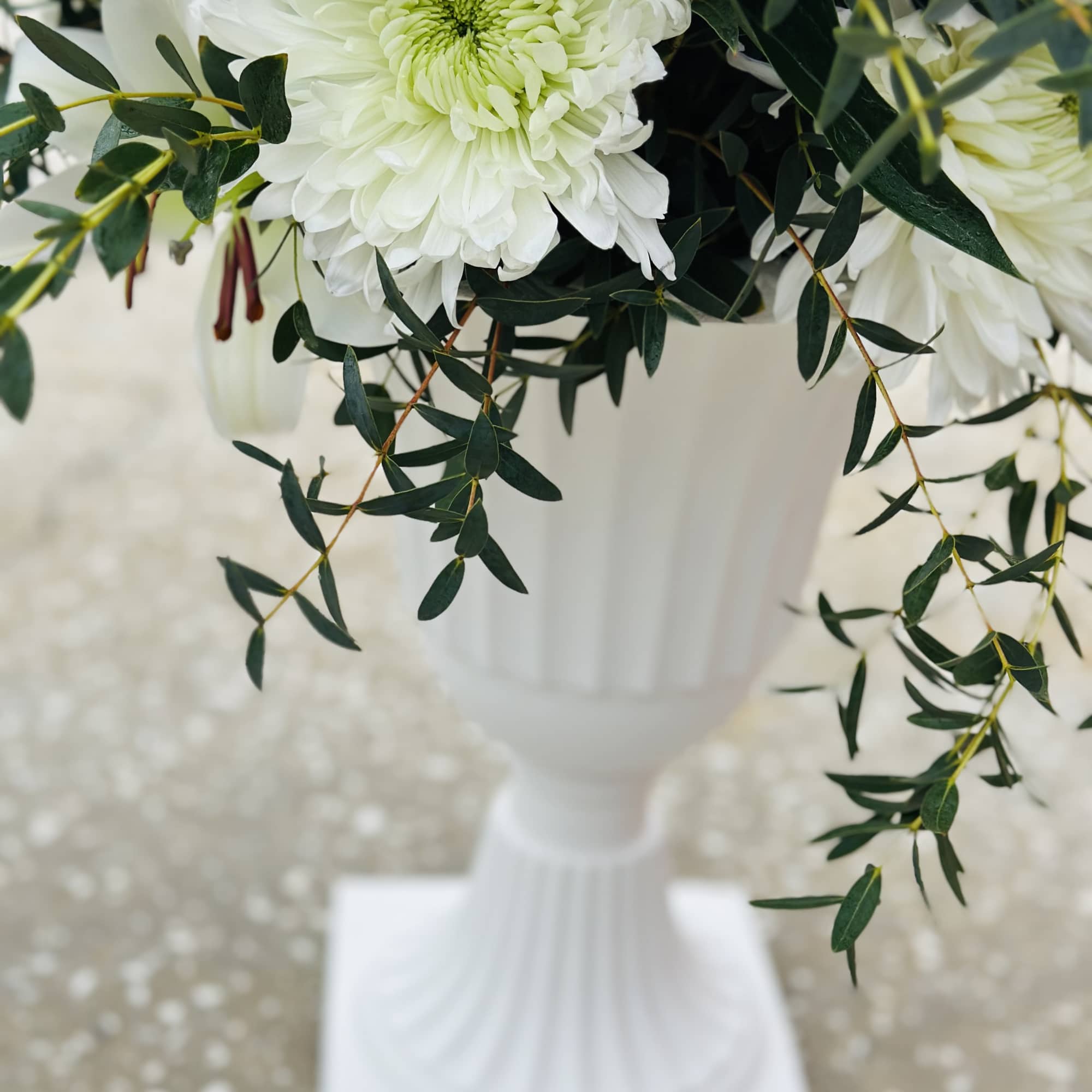 White chrysanthemum arrangement in a white pedestal vase