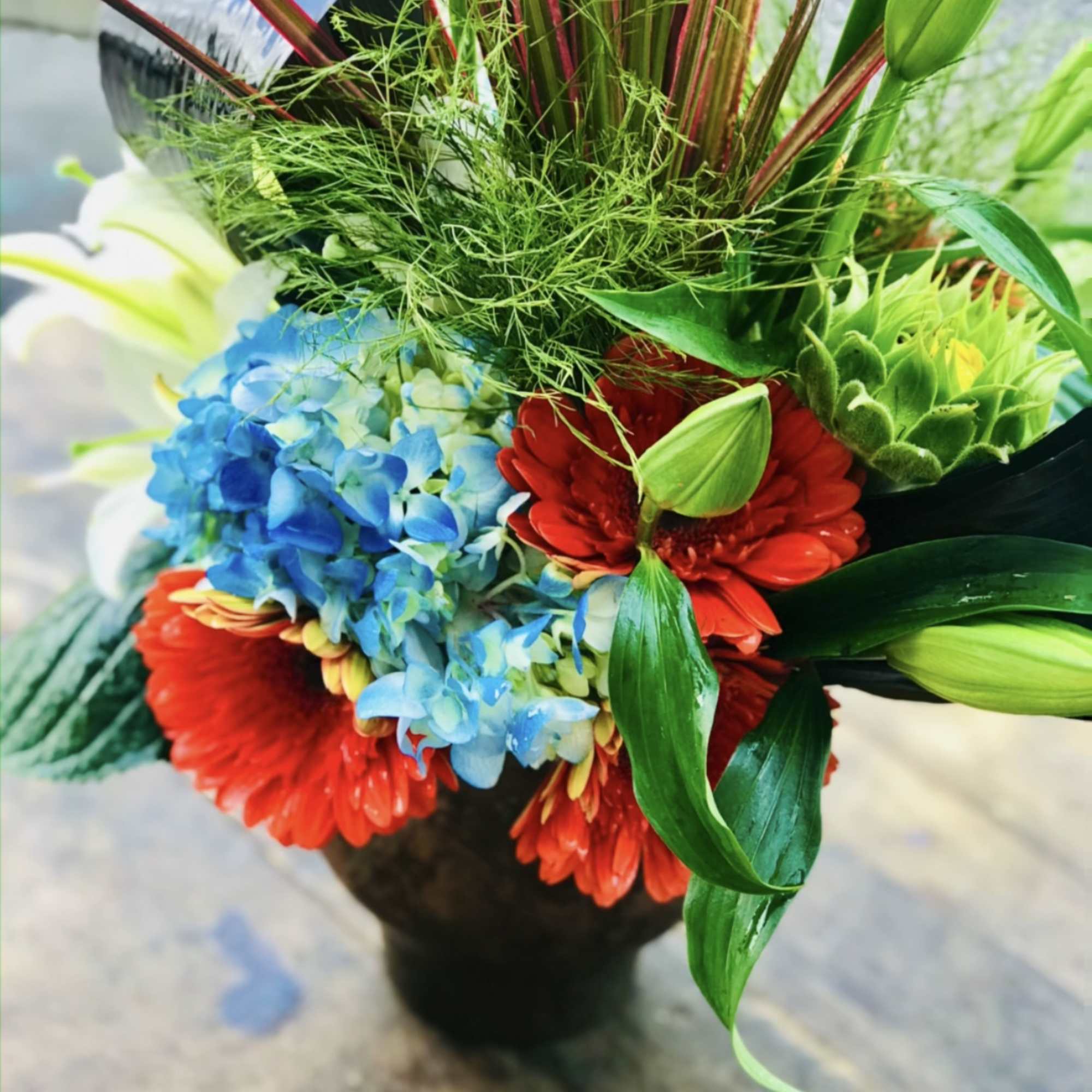 Colorful bouquet with blue hydrangea and red gerbera daisies in a black vase