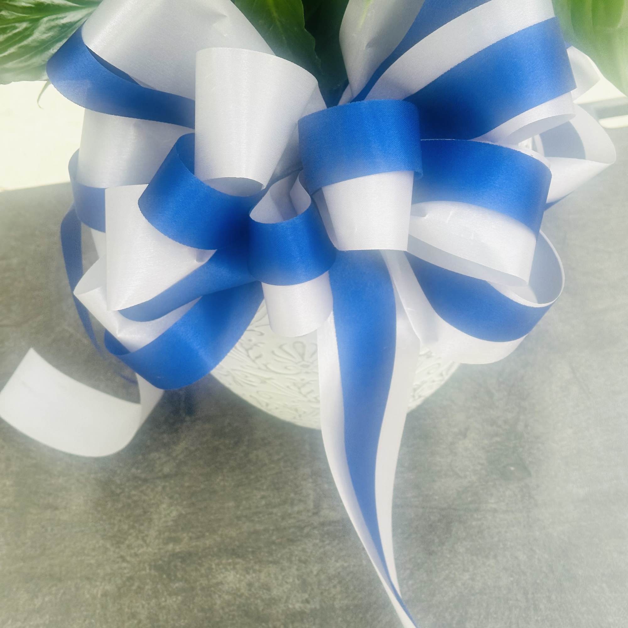 Potted plant with a large blue and white ribbon bow