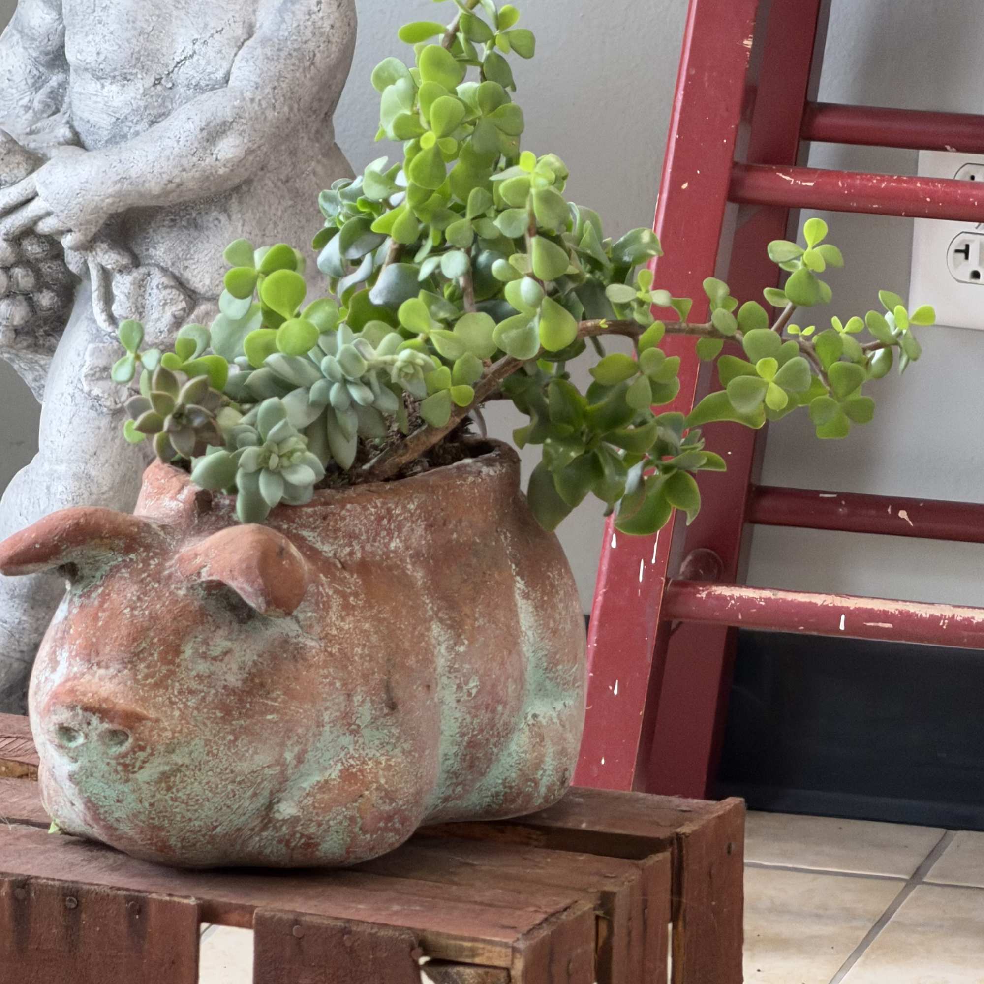 A playful terracotta pig planter filled with a lush mix of trailing, photo 3 of 3