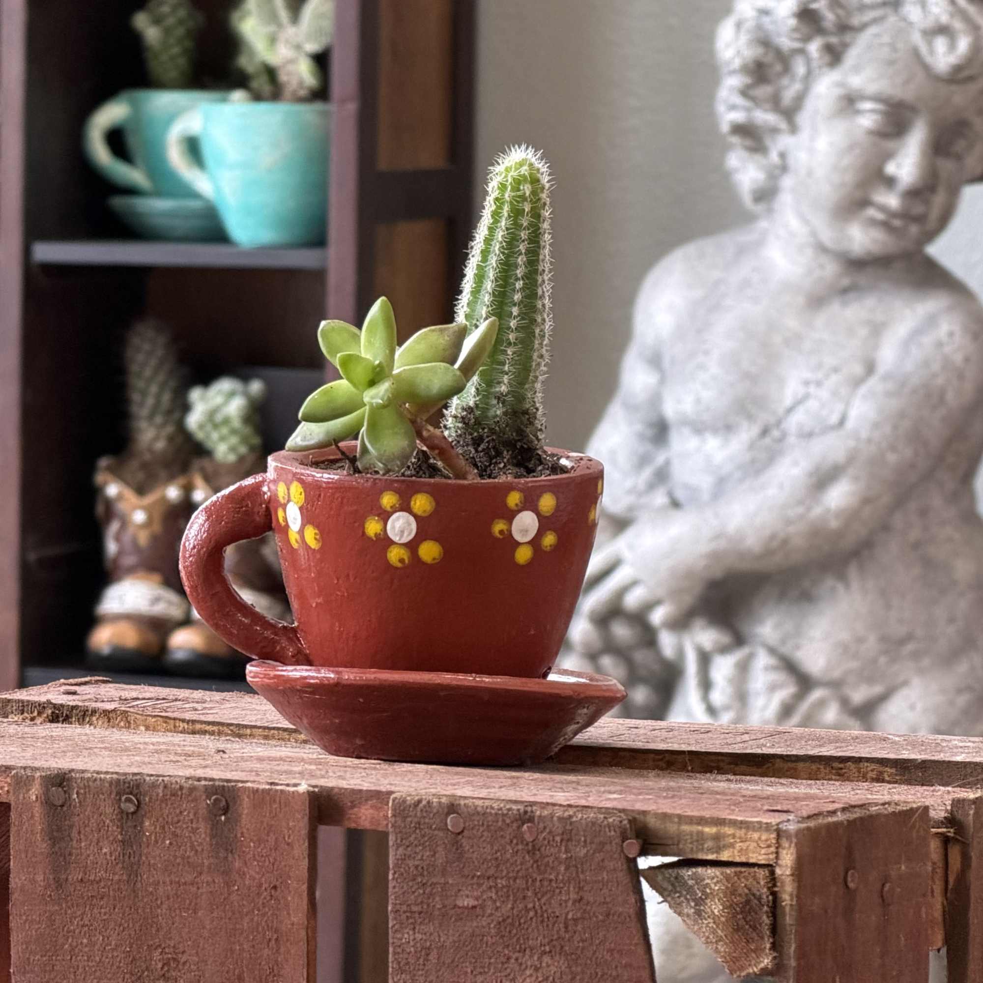 A cheerful tea time succulent planter that makes a small-space housewarming or, photo 4 of 6