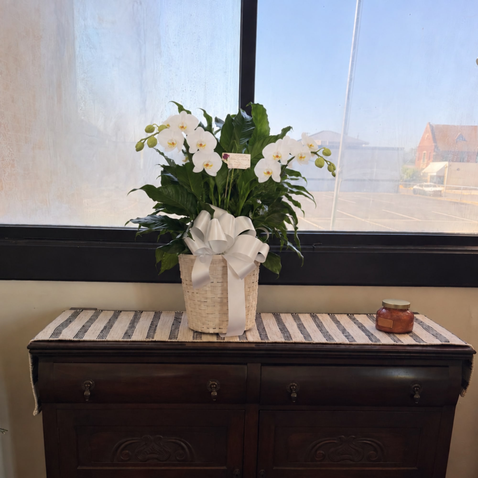 White orchids arranged in a woven basket with a white ribbon bow
