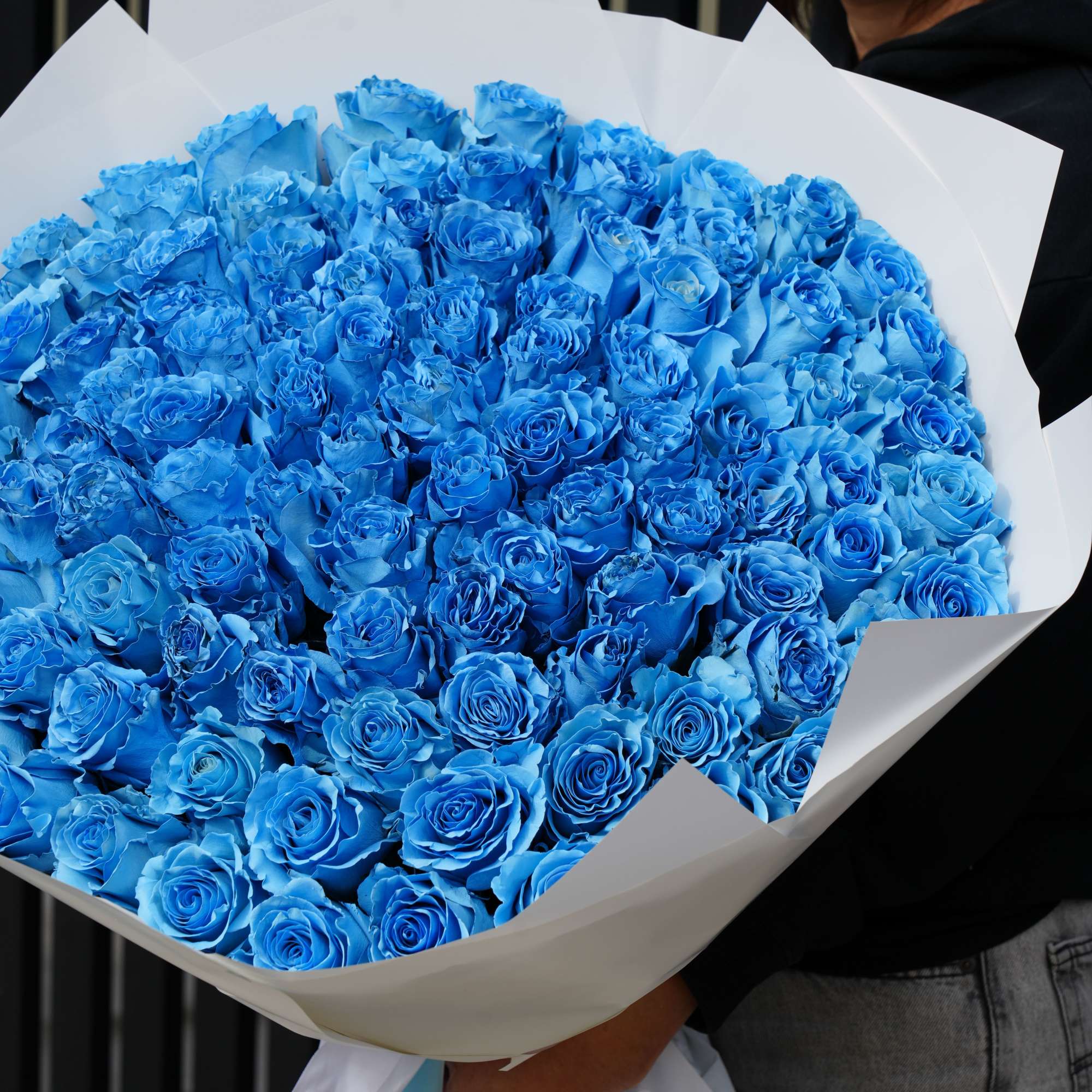 Large bouquet of bright blue roses wrapped in white paper