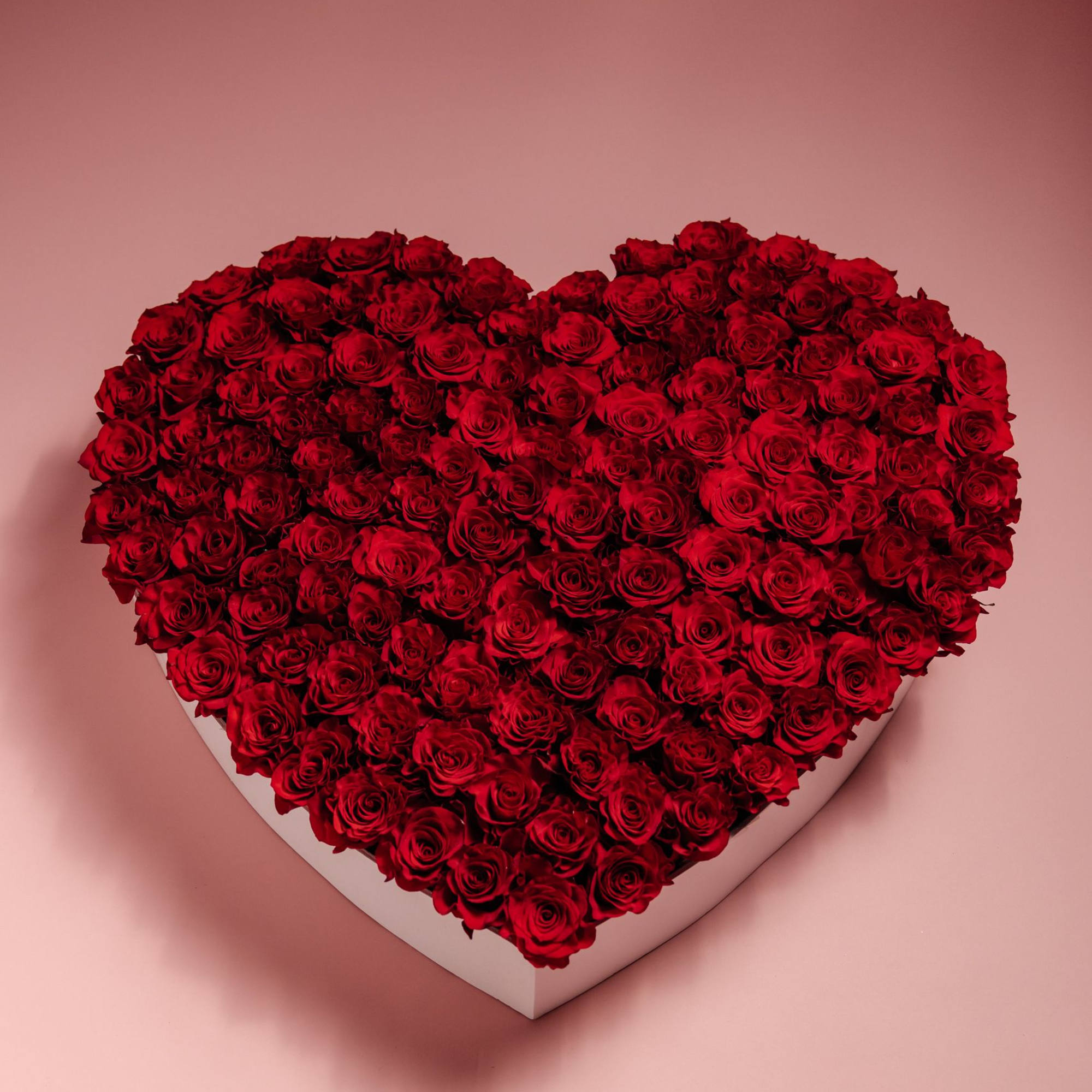 Heart-shaped box filled with red roses