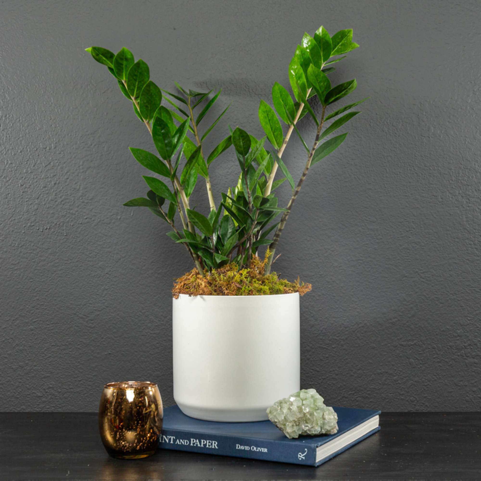 Potted green plant in a white ceramic container with a candle and book nearby