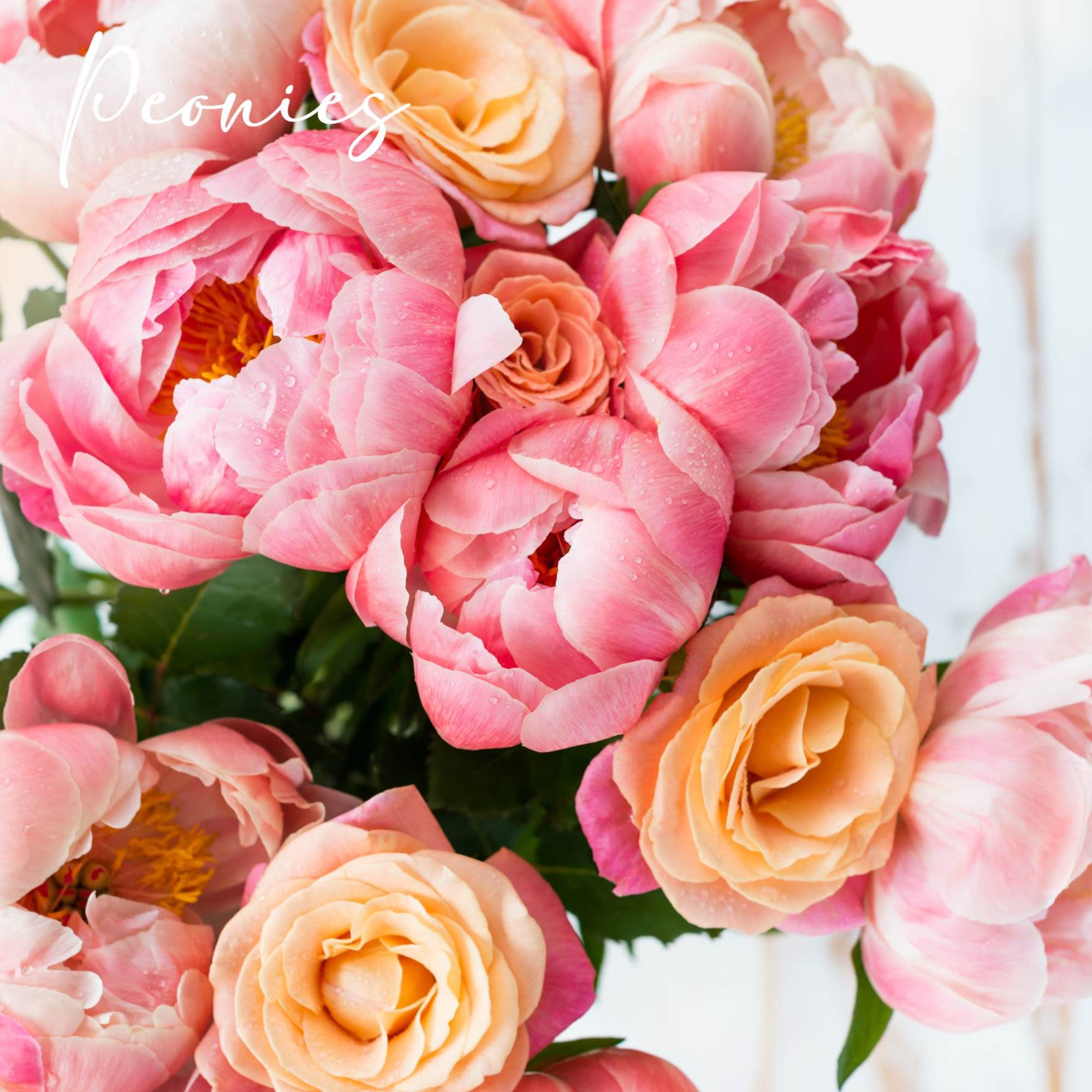 Pink and peach peony-like flowers in a bouquet