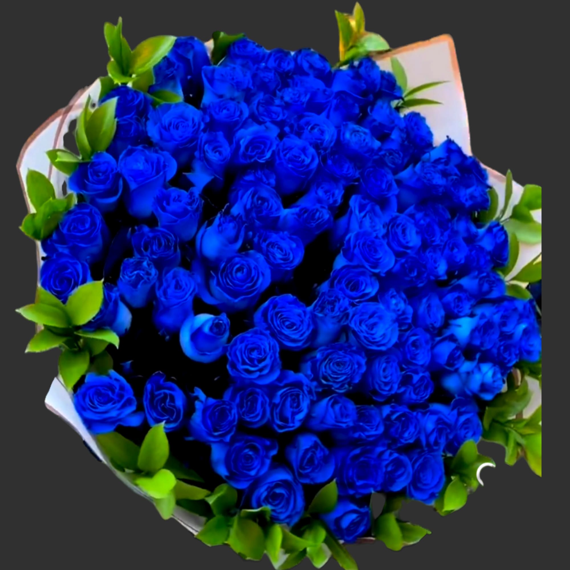 Bouquet of vivid blue roses with green foliage and white wrapping