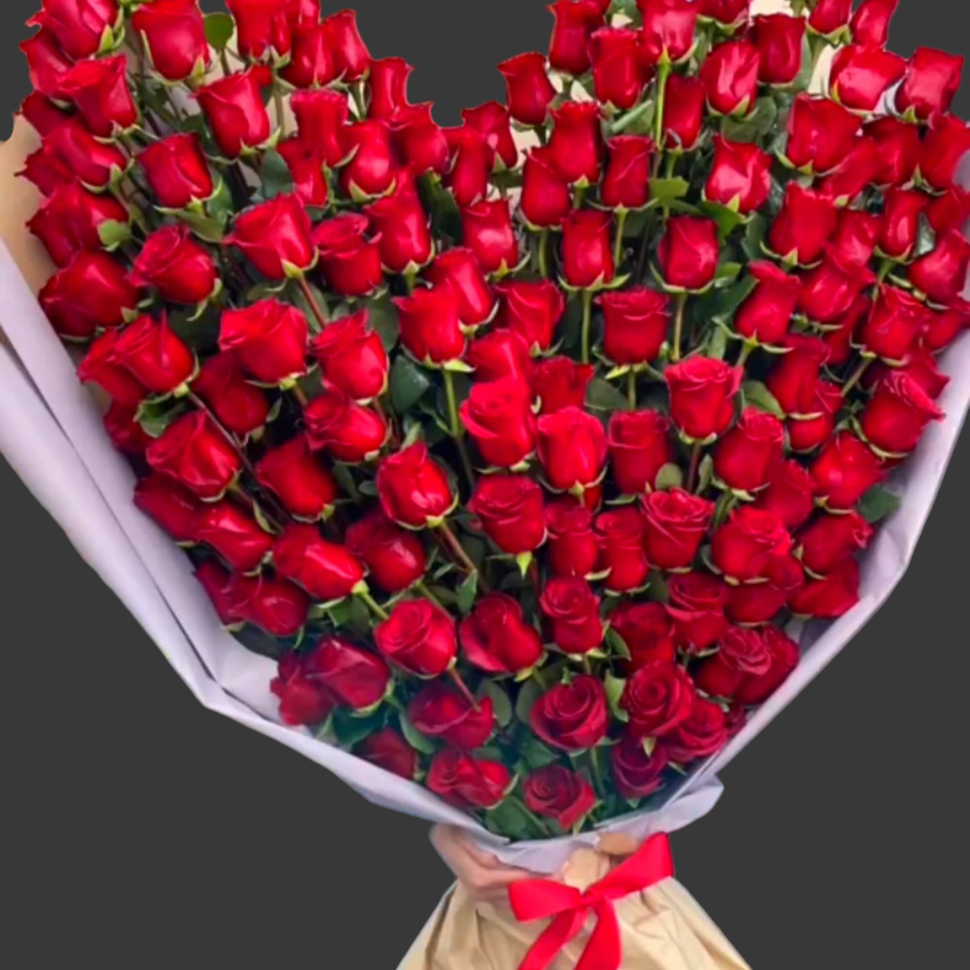 Large bouquet of red roses wrapped in white paper with a red ribbon