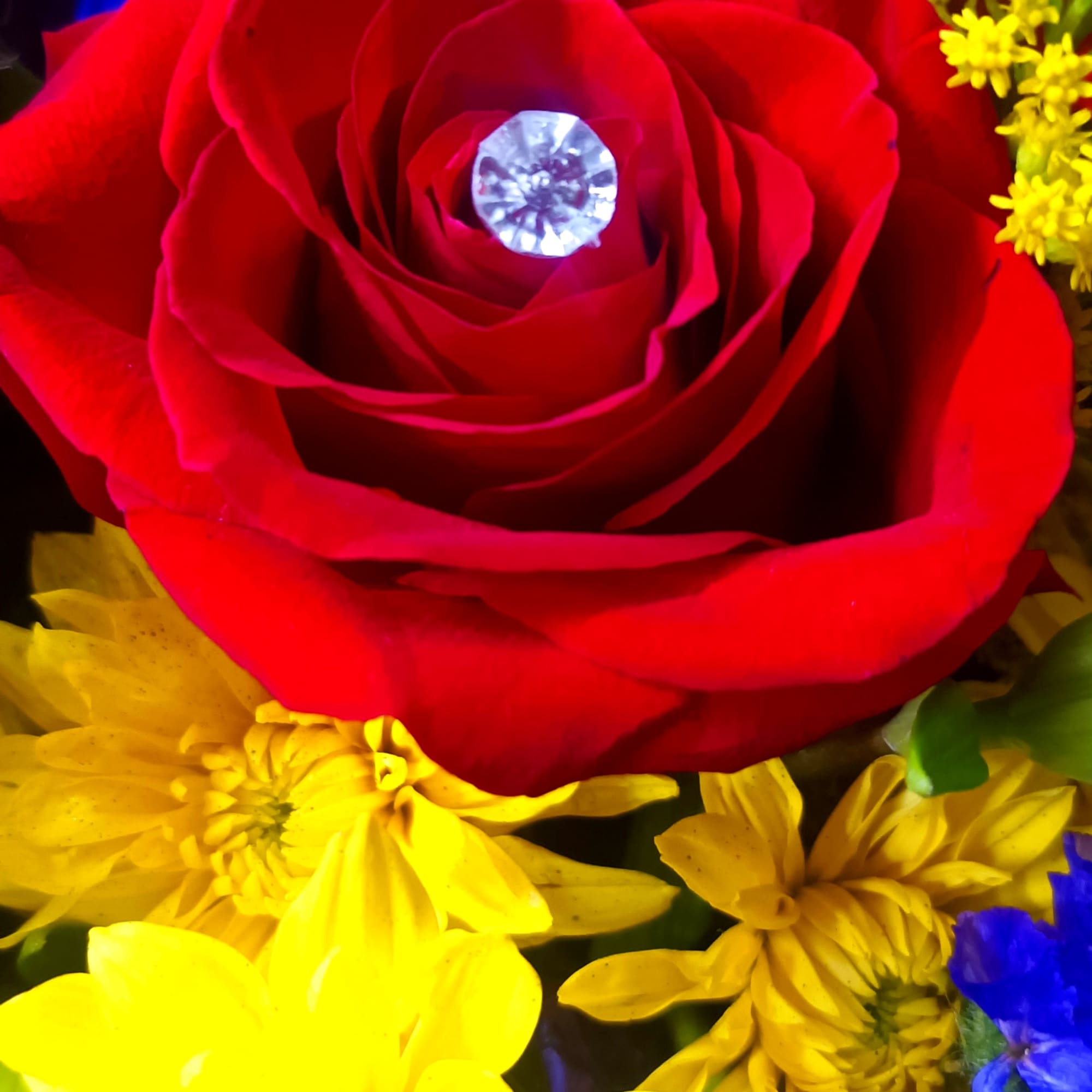 Close-up bouquet with a red rose and bright yellow and blue flowers
