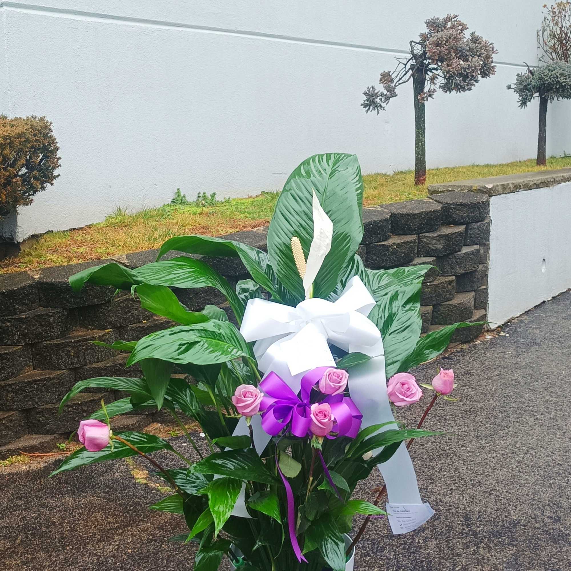 We decorate the peace lily plant with fresh flowers in water tubes, photo 3 of 5