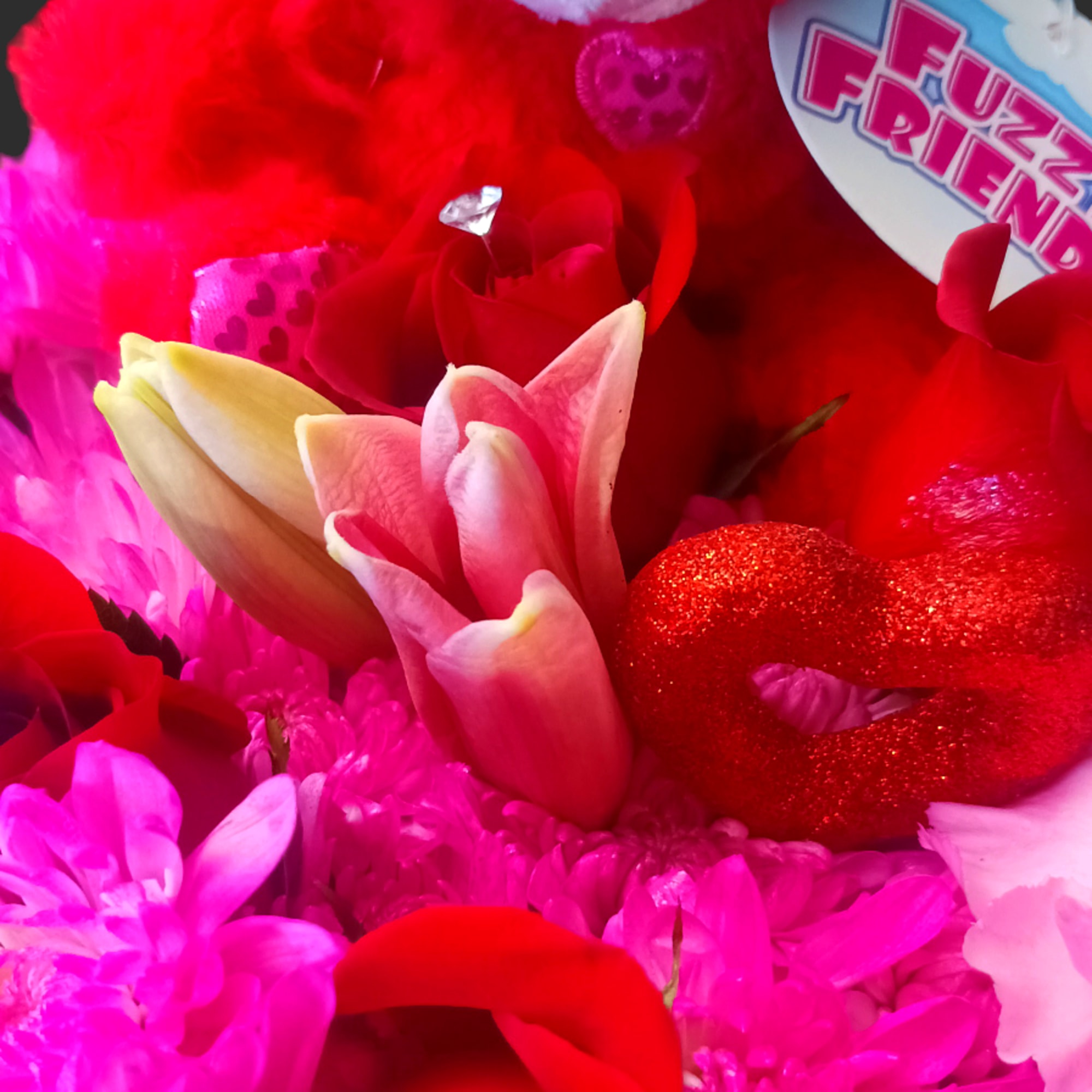 Red teddy bear with pink flowers and a red rose
