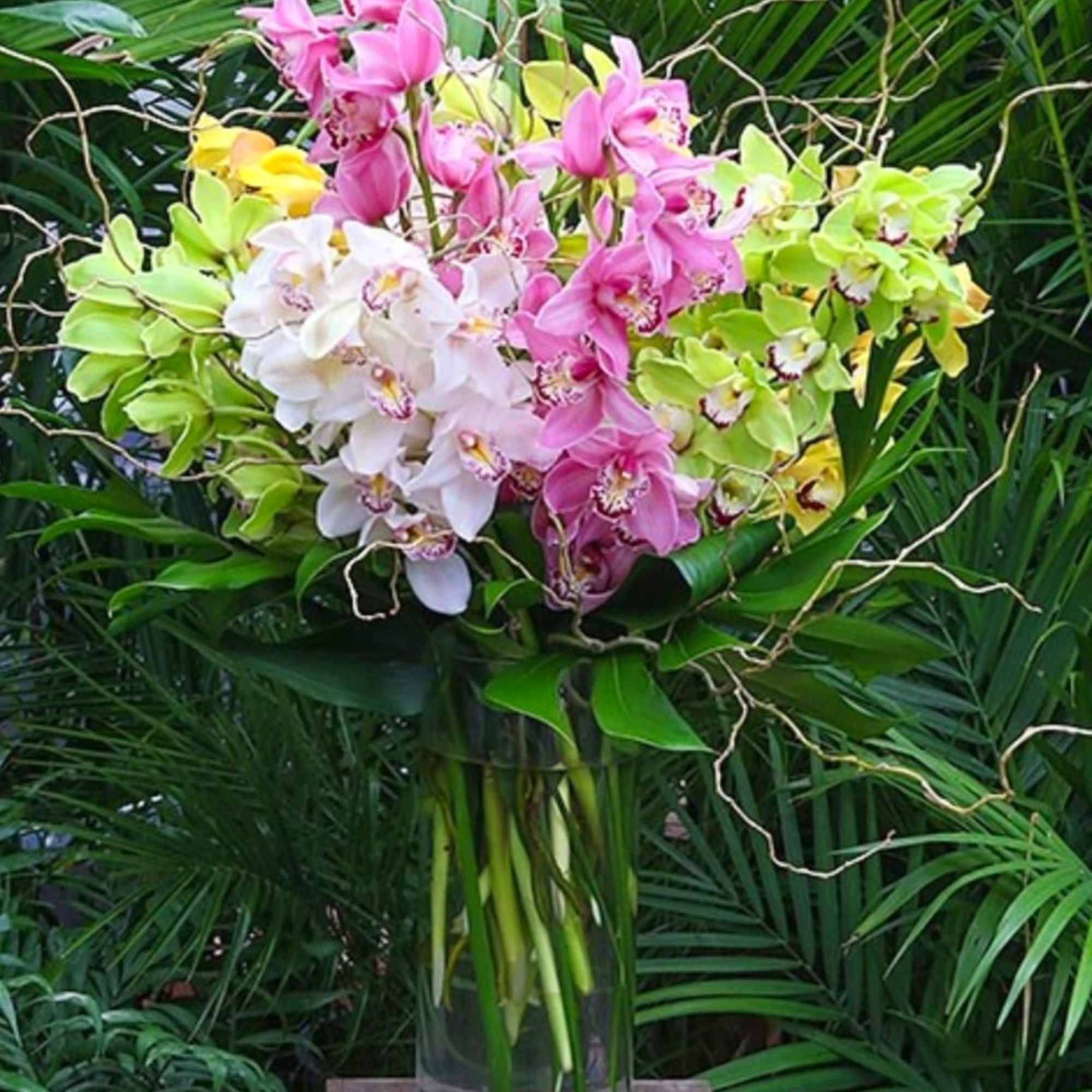 Bouquet of pink, white, and green orchids in a glass vase