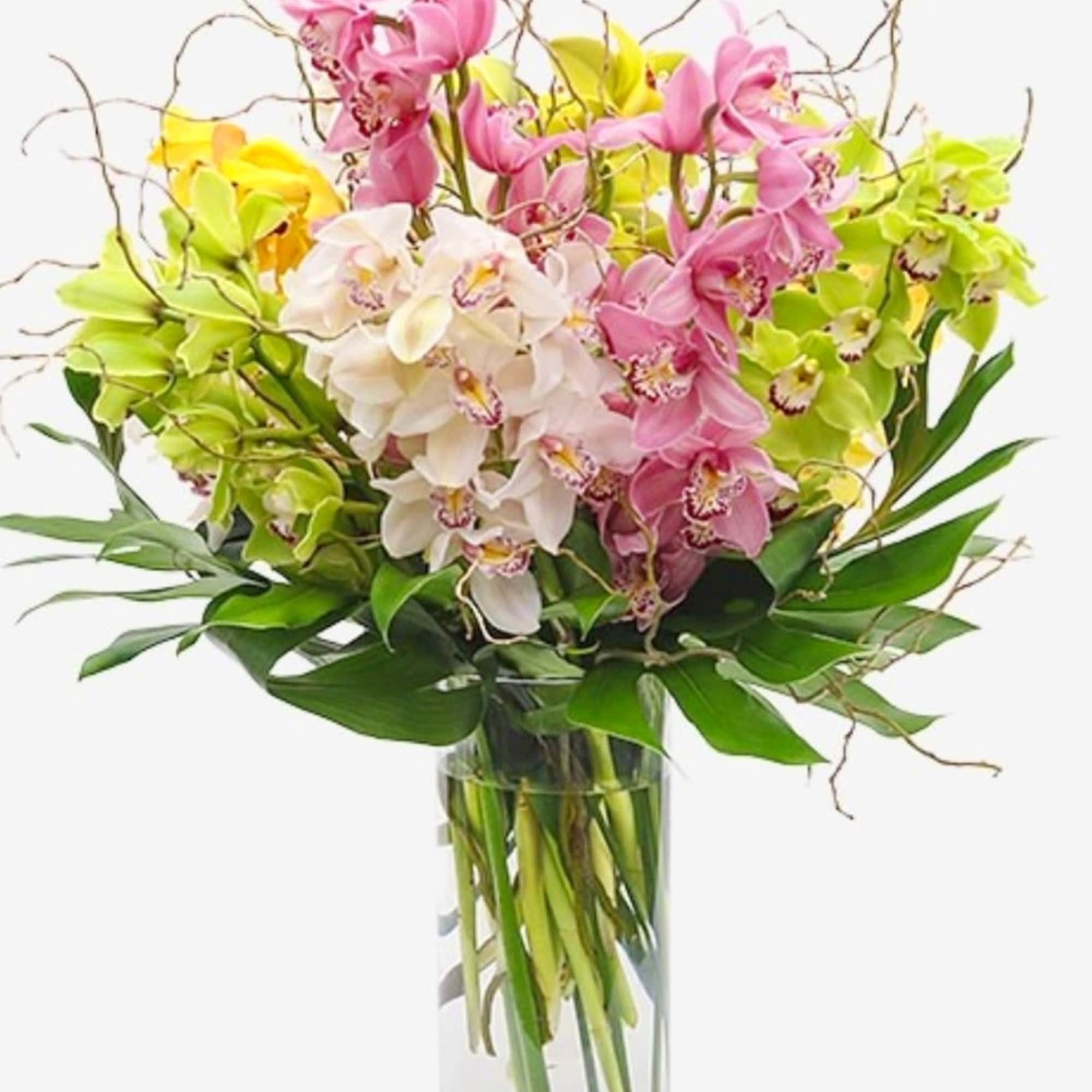 Pink, white, and green orchids in a clear glass vase