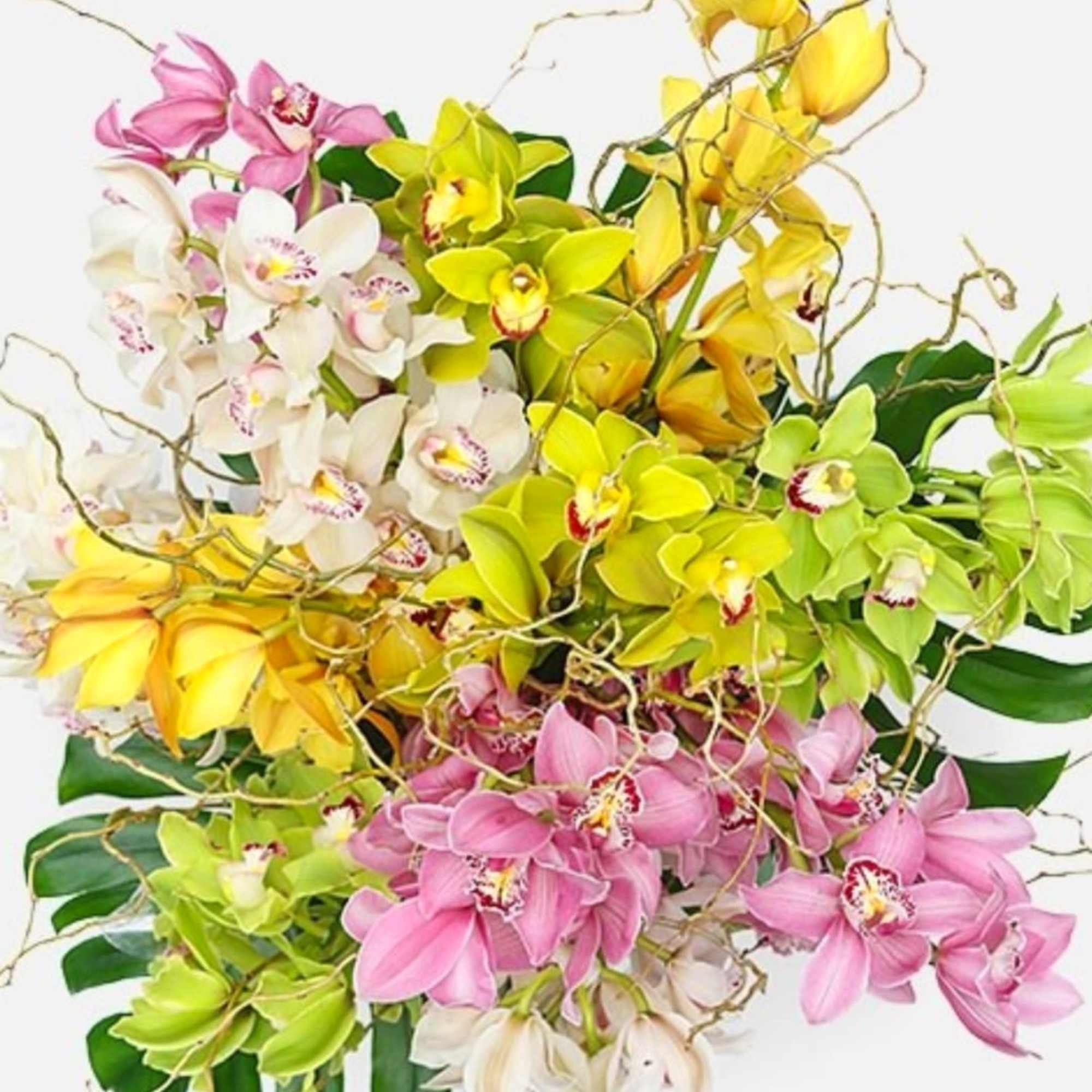 Bouquet of pink, white, and yellow orchids with twisting branches