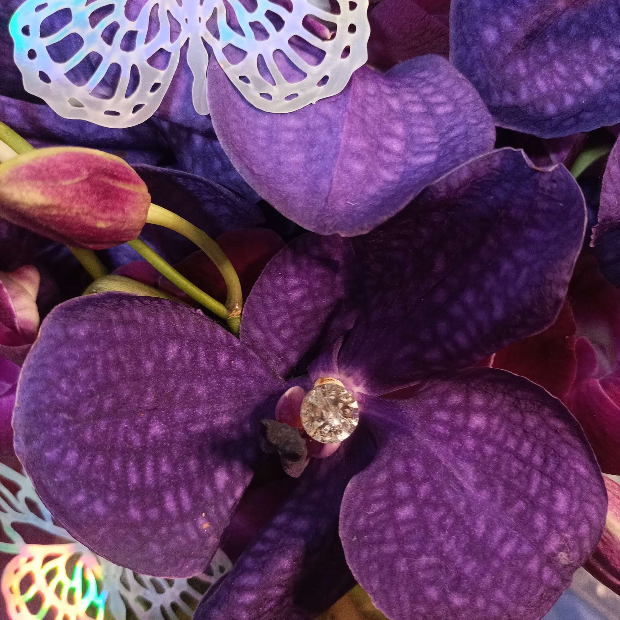 Purple orchid blooms with decorative butterfly accents