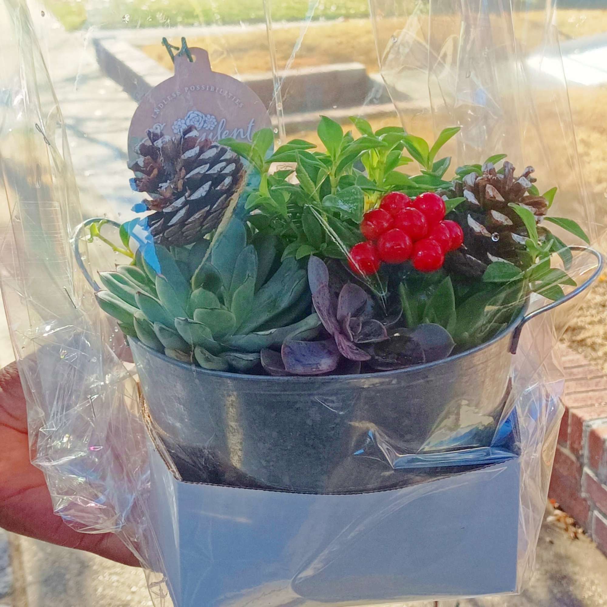 Succulent arrangement in a metal bucket with pinecones and red berries