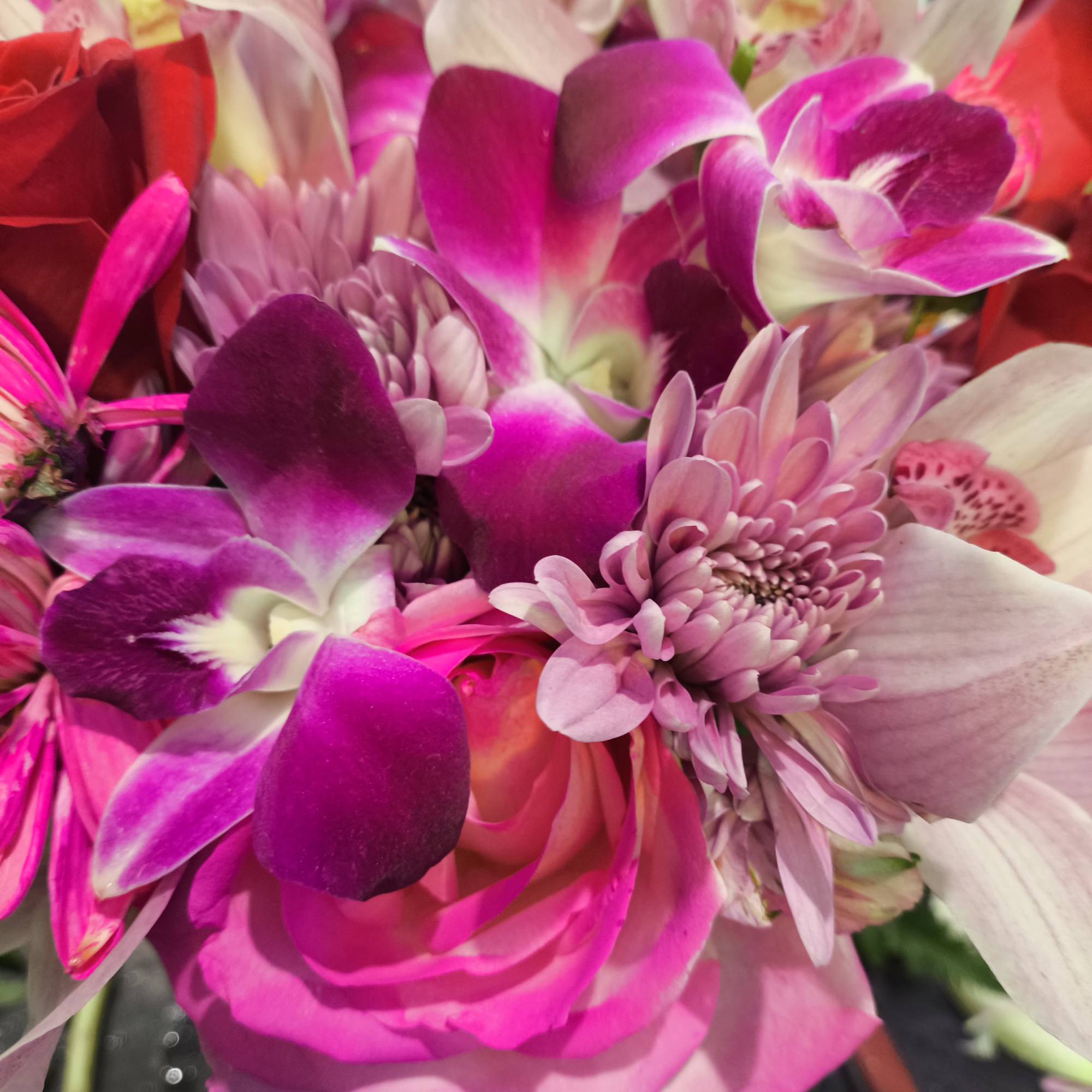 Bouquet of pink orchids, roses, and chrysanthemums in close-up