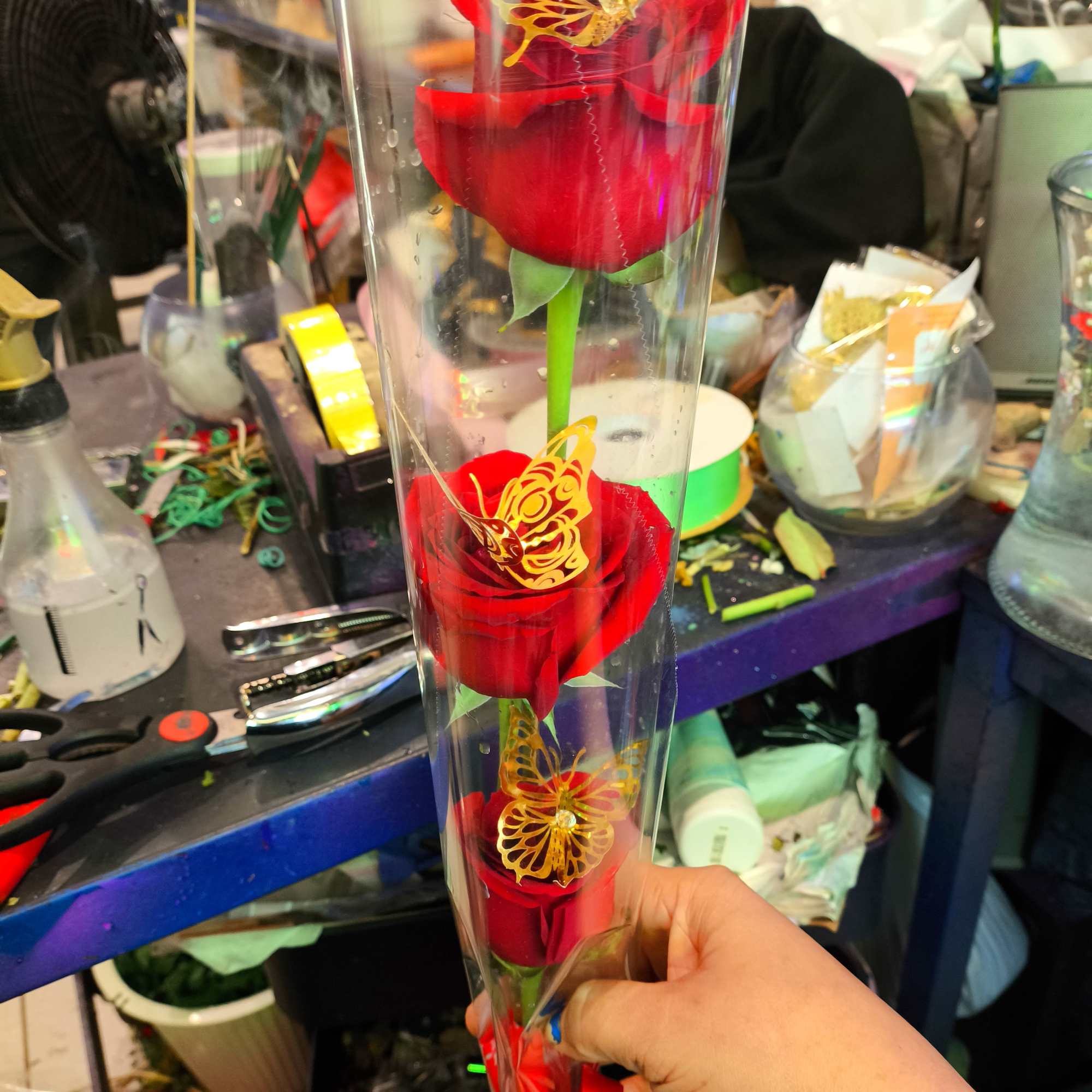 Three red roses in a clear plastic sleeve with butterfly decorations