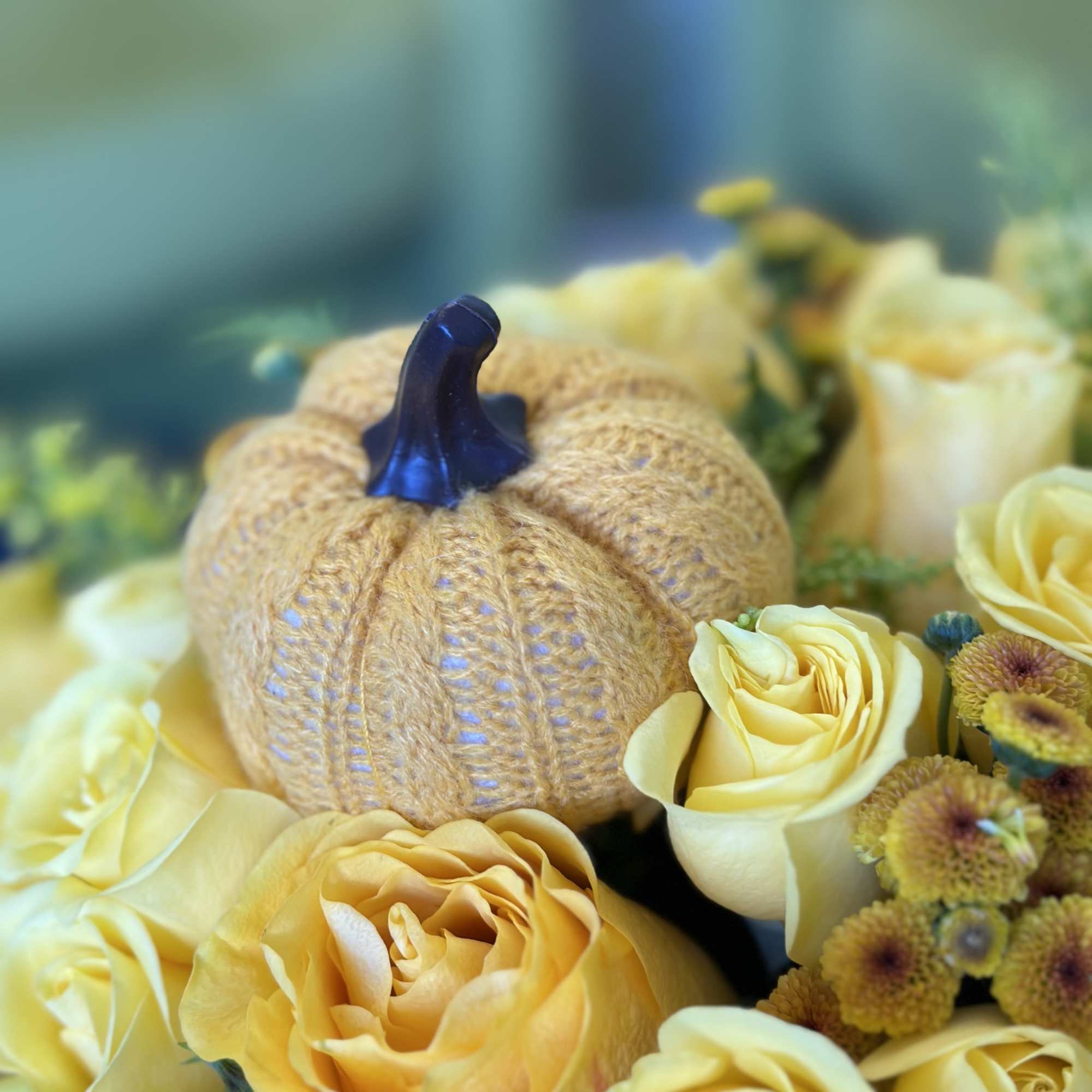 Yellow roses arranged around a small decorative pumpkin