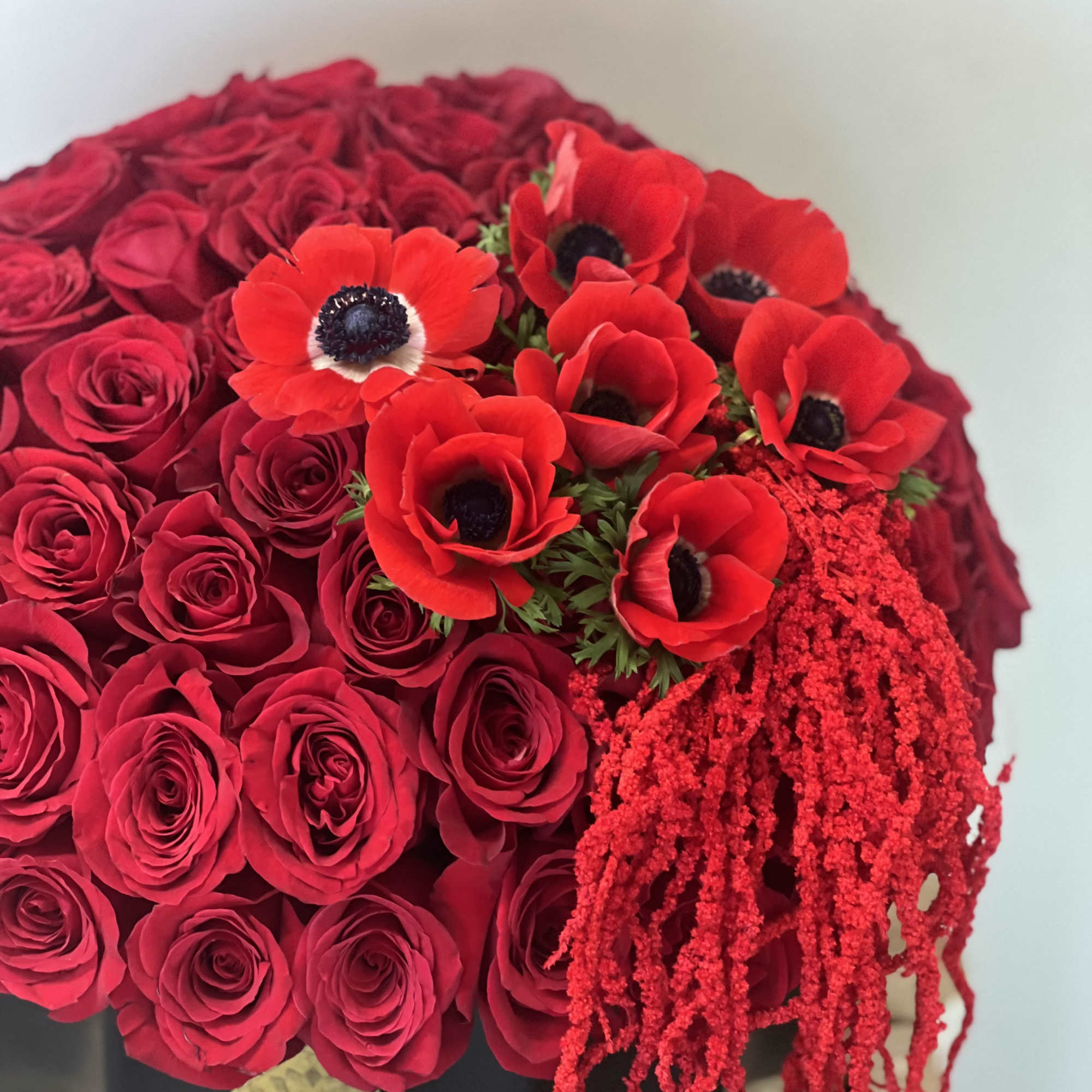 Red rose arrangement with red anemones in a black box