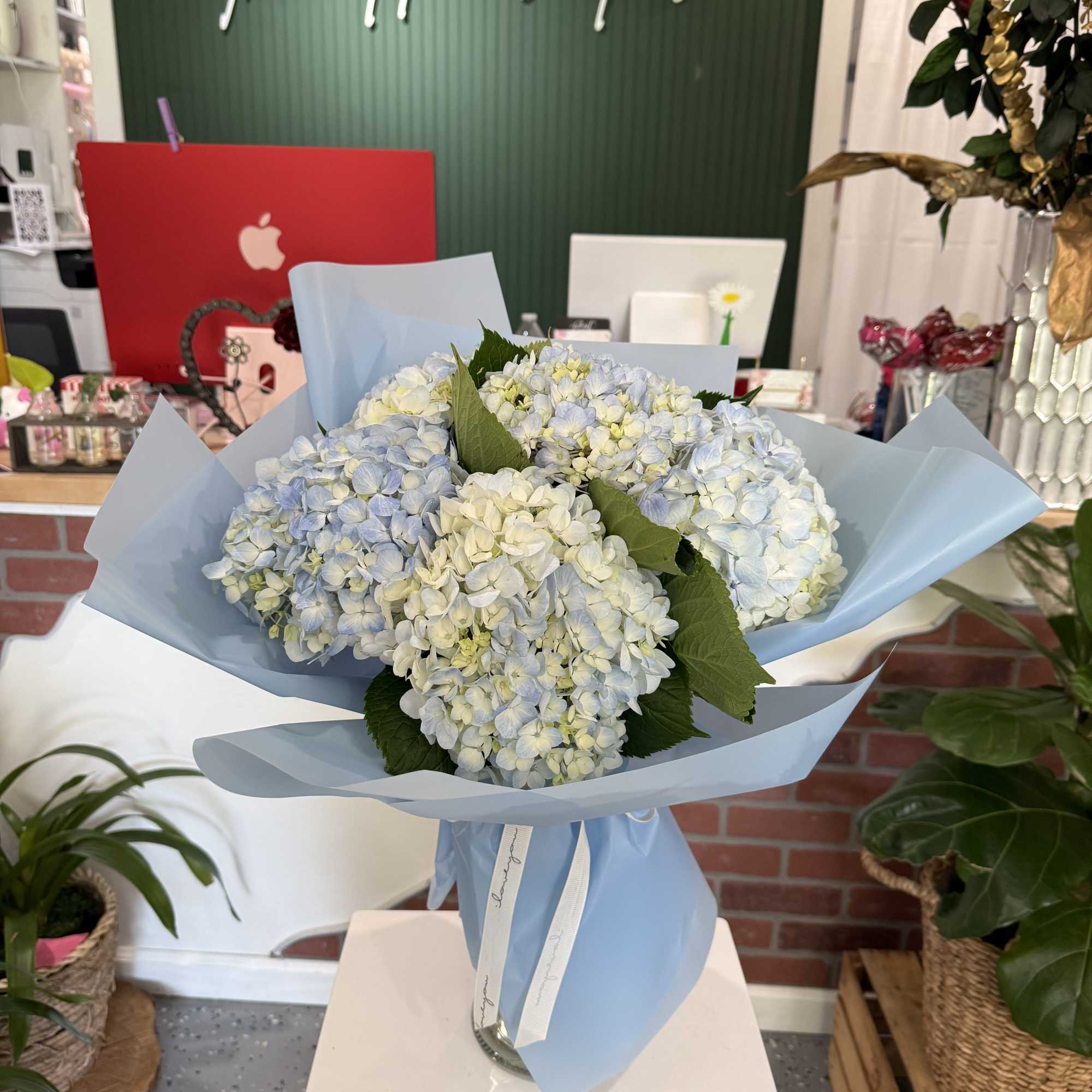 Bouquet of pale blue and white hydrangeas wrapped in light blue paper