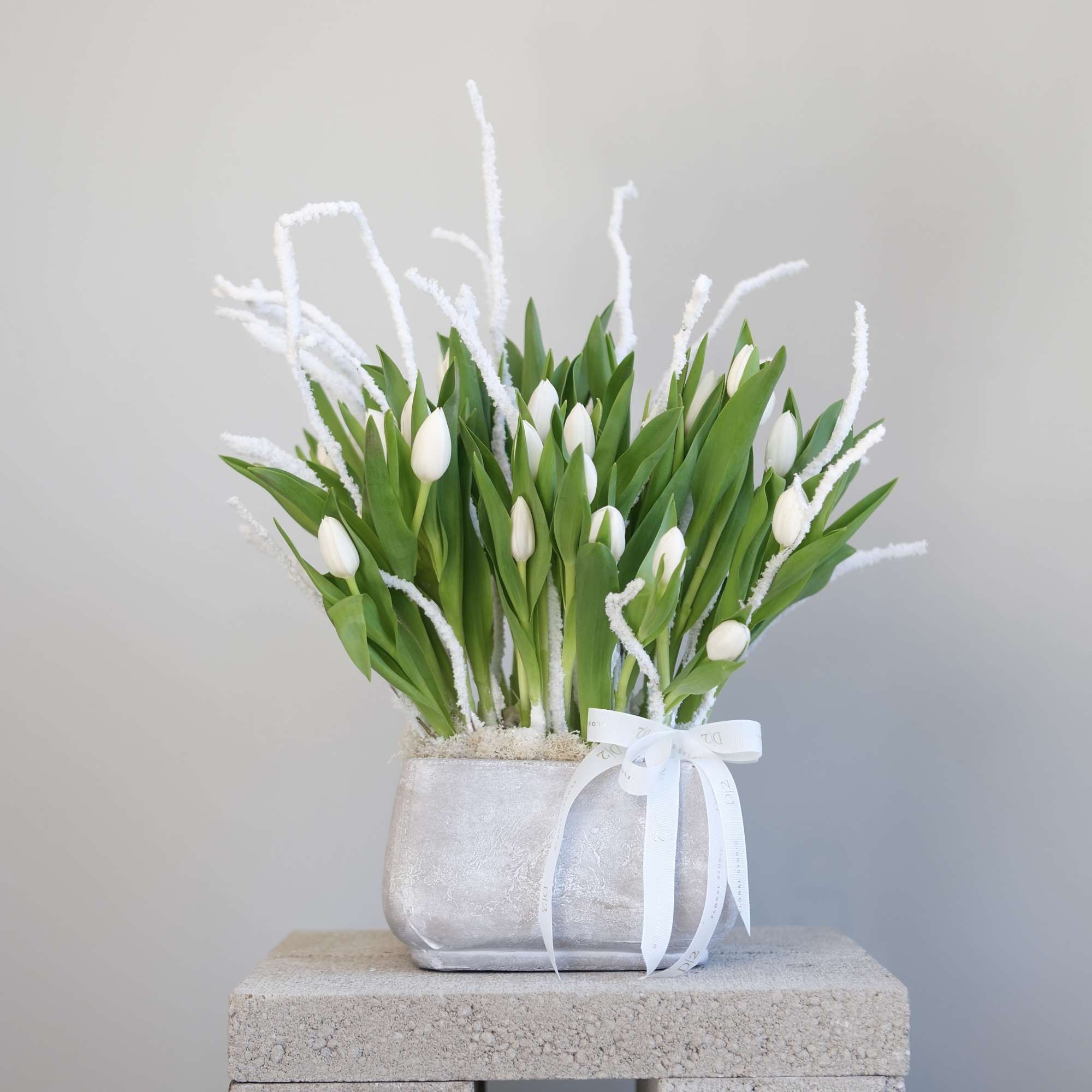 White tulips in a silver vase with a white ribbon