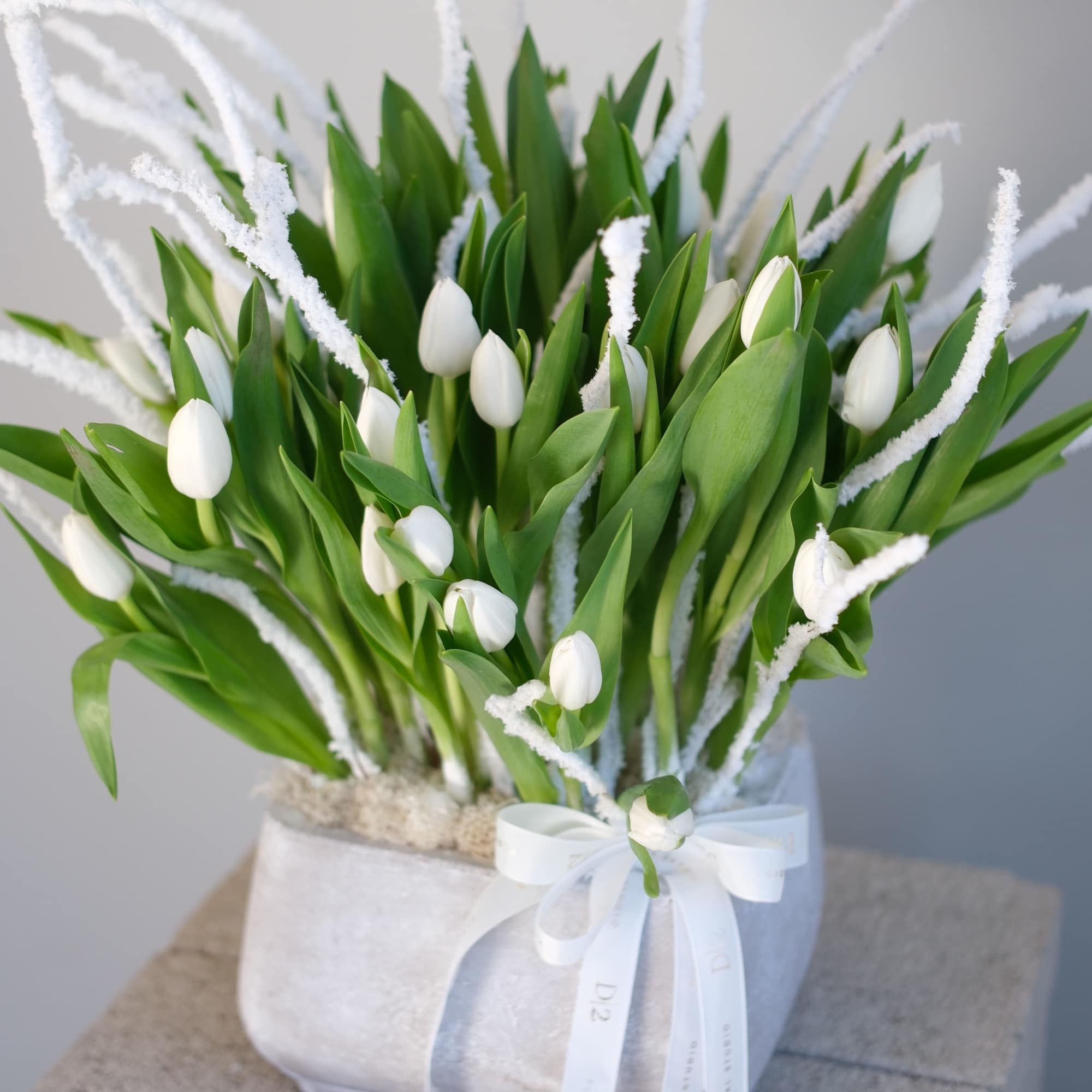 White tulips arranged in a white box with a ribbon