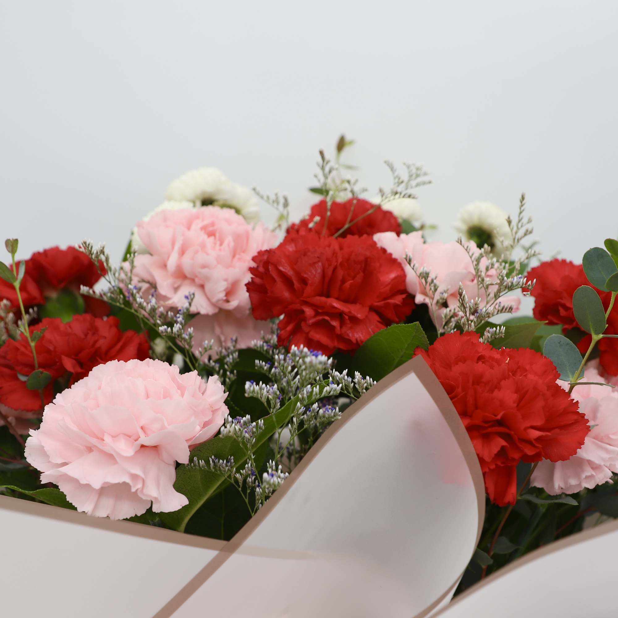 Bouquet of pink and red carnations with greenery and white filler flowers