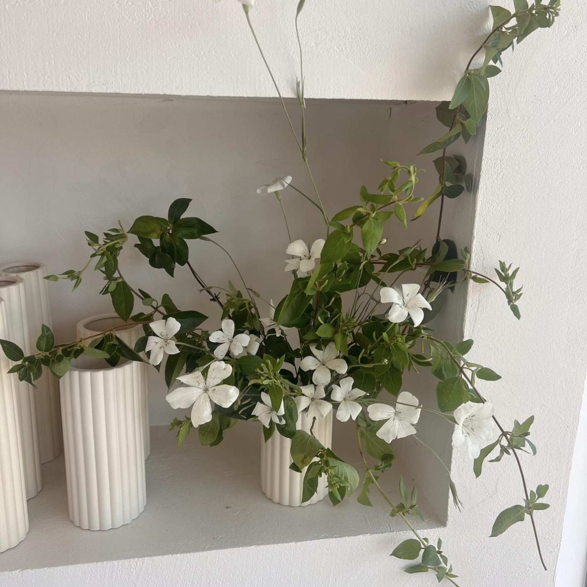 White flowers arranged with trailing green branches in ribbed cream vases