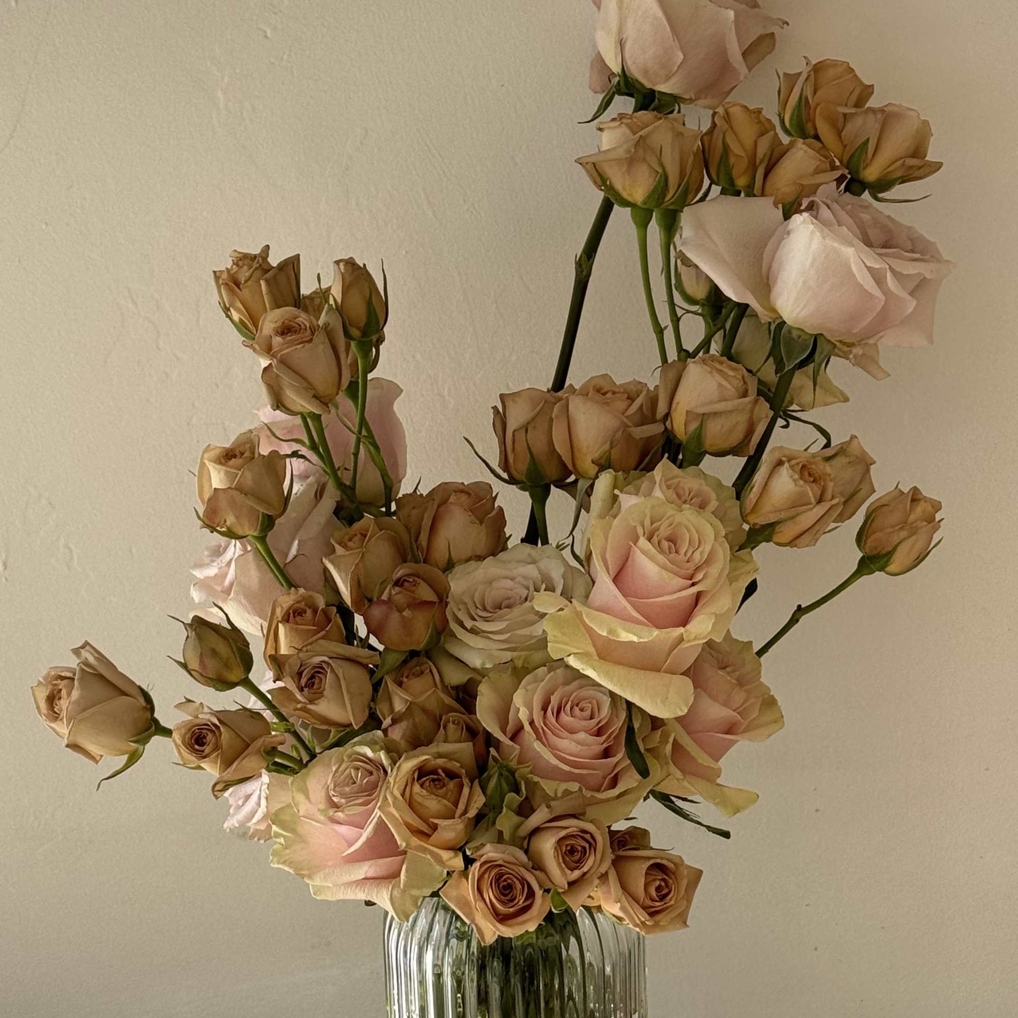 Arrangement of pale pink and peach roses in a ribbed glass vase