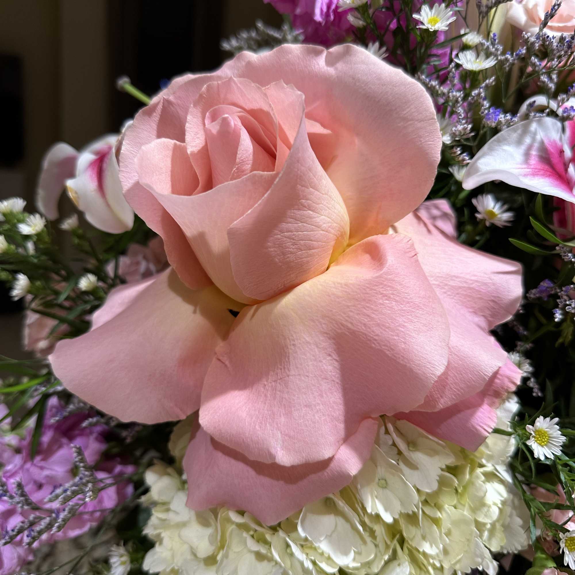Close-up bouquet with a large pink rose and white hydrangea blooms