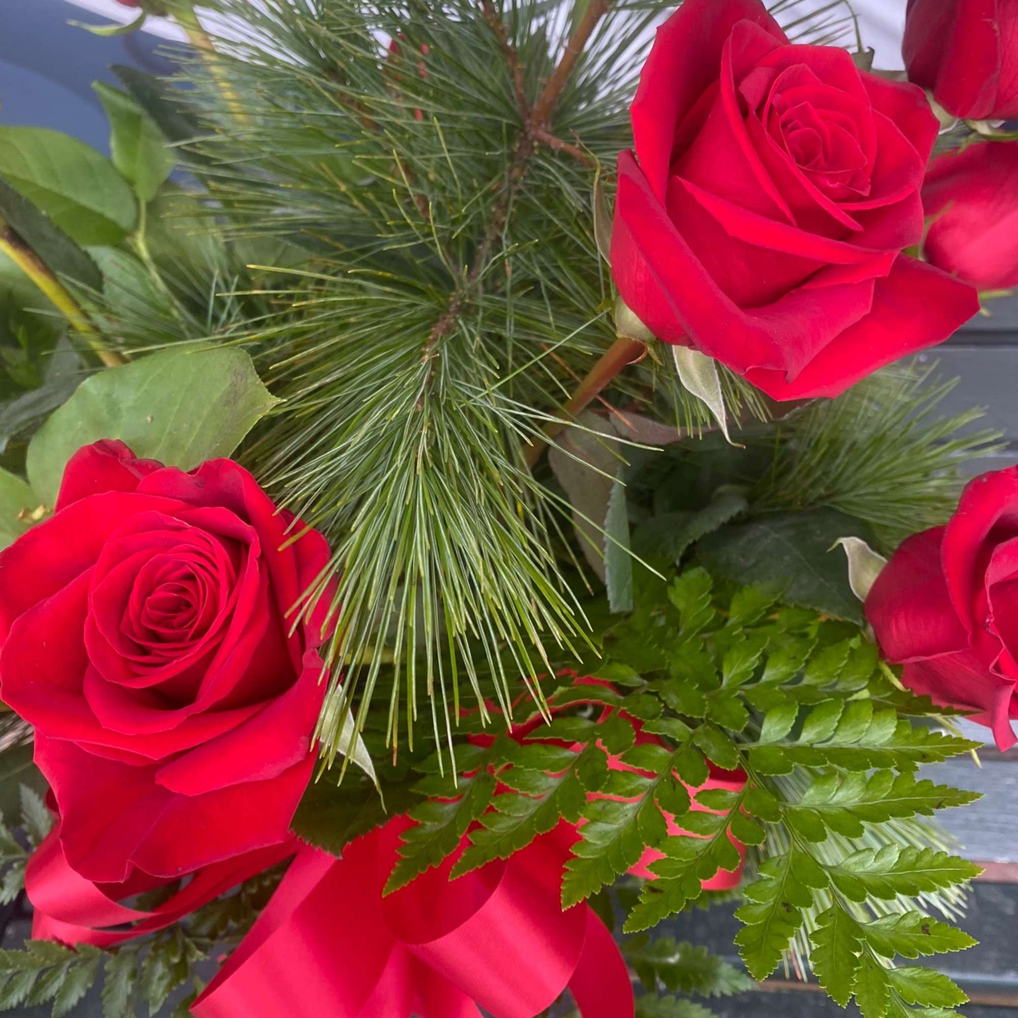 Bouquet of red roses with pine greenery and a red ribbon